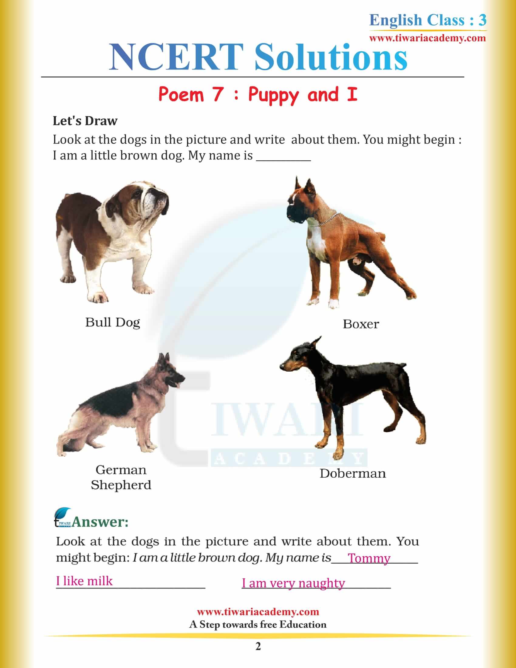 NCERT Solutions for Class 3 English Marigold 3 Unit 7 Puppy