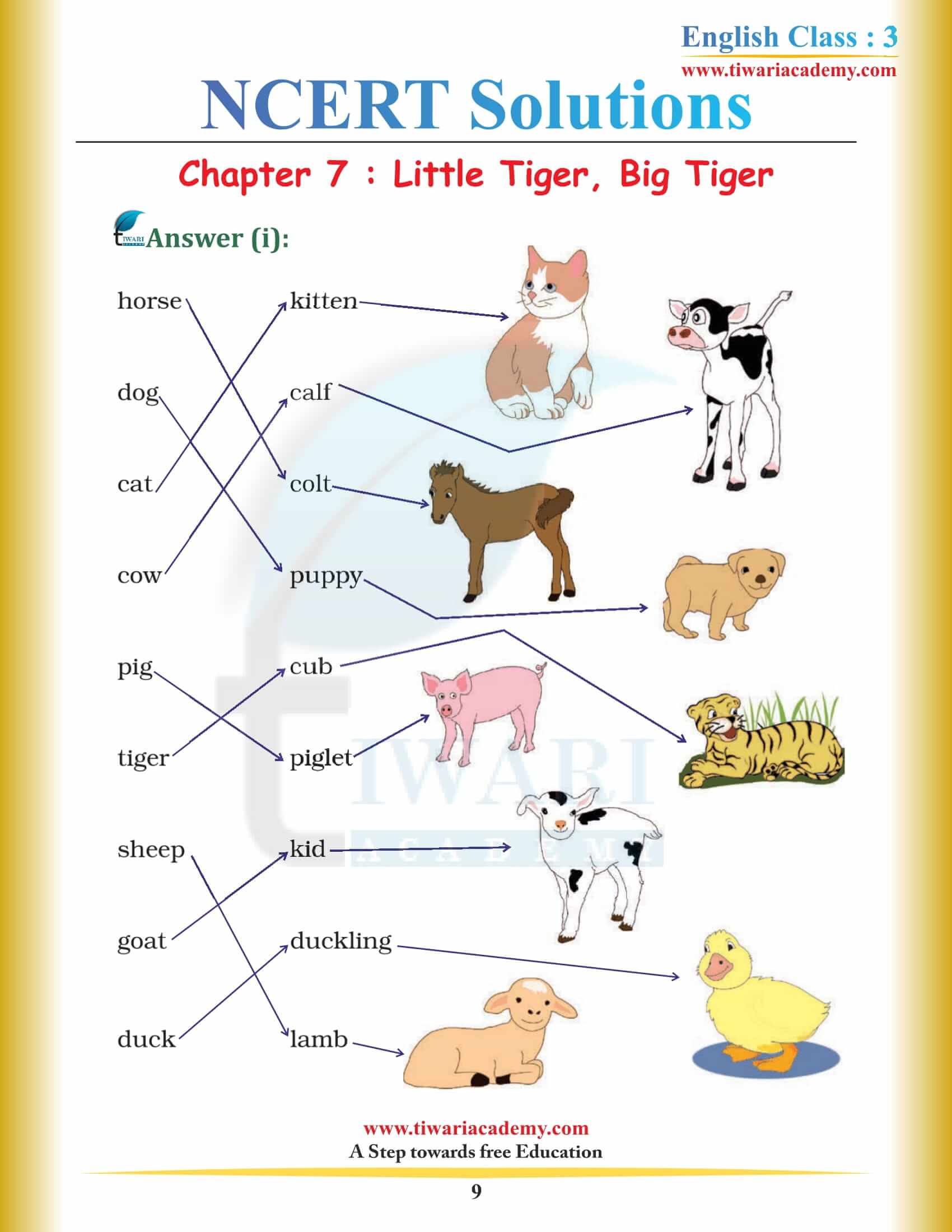 Class 3 NCERT English Book Unit 7 Solutions