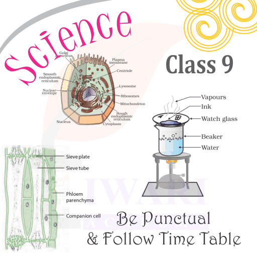 Step 4: Be Punctual and regularly follow Study Time Table.