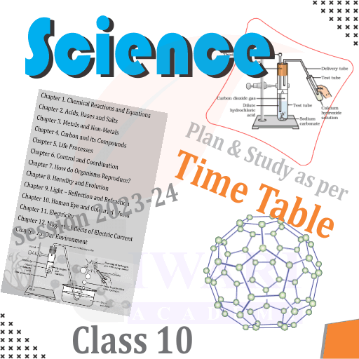 Step 2: Plan and Study according to Time Table.