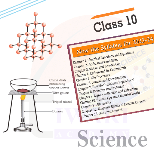 Step 1: Prepare the chapter from NCERT, figuring out the main terms.