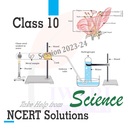 Step 4: Take help from Class 10 Science NCERT Solutions.