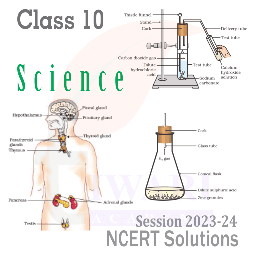 Step 5: Keep distance from distractions during the study.