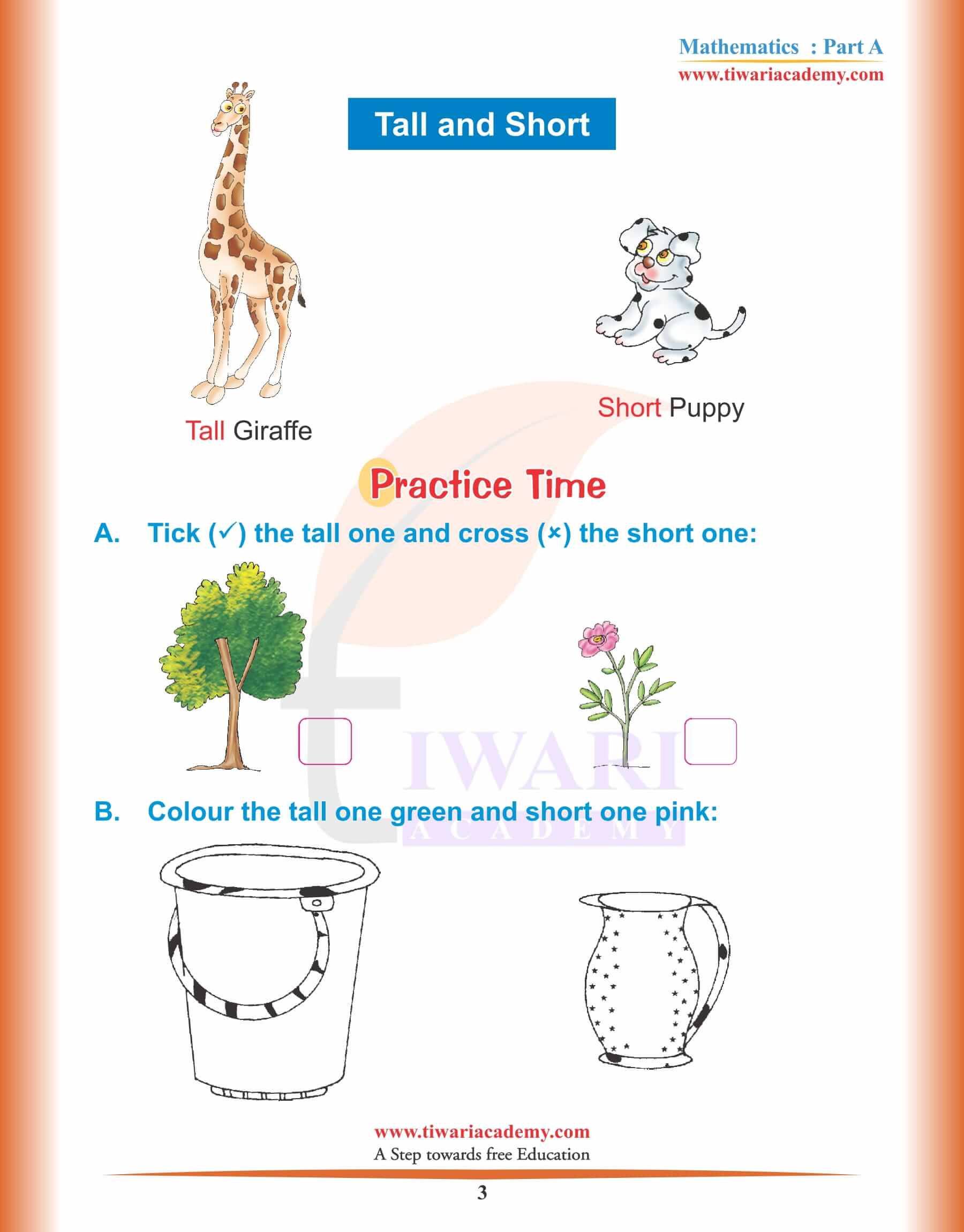 Nursery Maths Topic 3