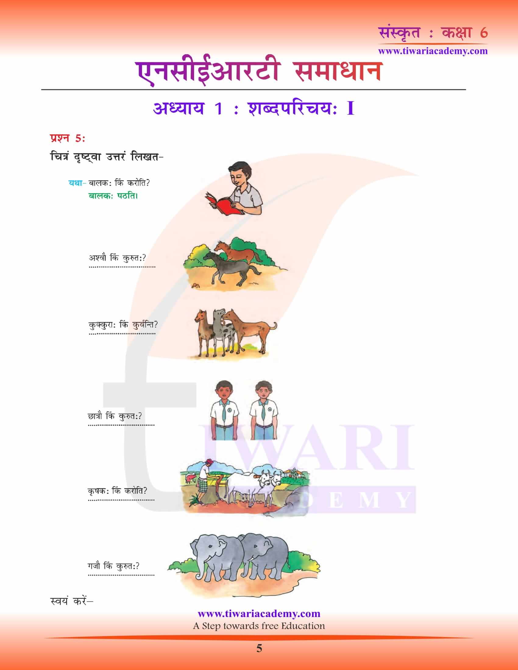 NCERT Solutions for Class 6 Sanskrit Chapter 1 all answers