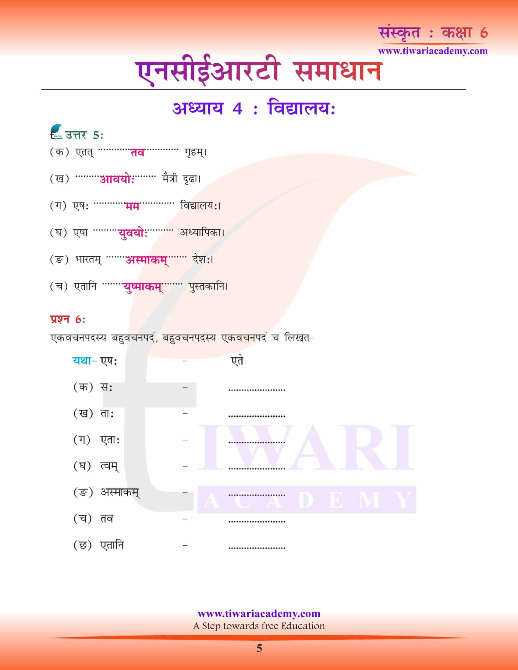 NCERT Solutions for Class 6 Sanskrit Chapter 4 answers