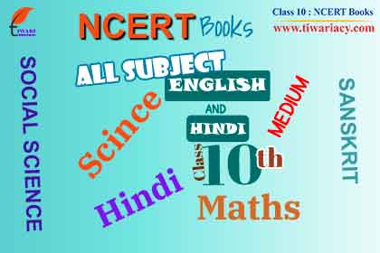 Step 2: Download NCERT Books and Summary of the Chapters.