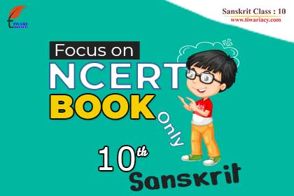 Step 2: Focus on Class 10 Sanskrit Grammar and Workbook.