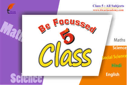 Step 5: Give importance to all subjects in Class 5.