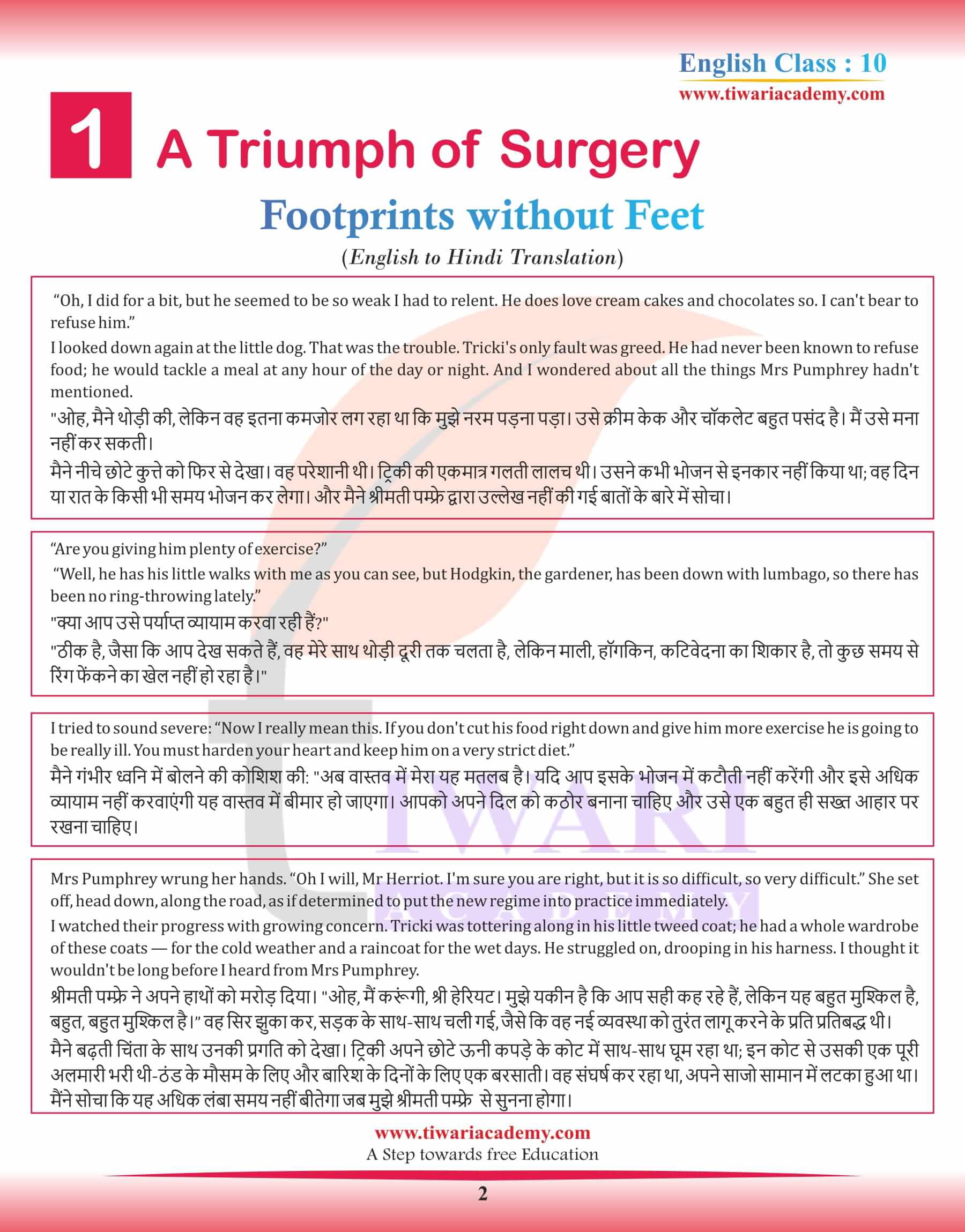 Class 10 English Supplementary Chapter 1 a Triumph of Surgery