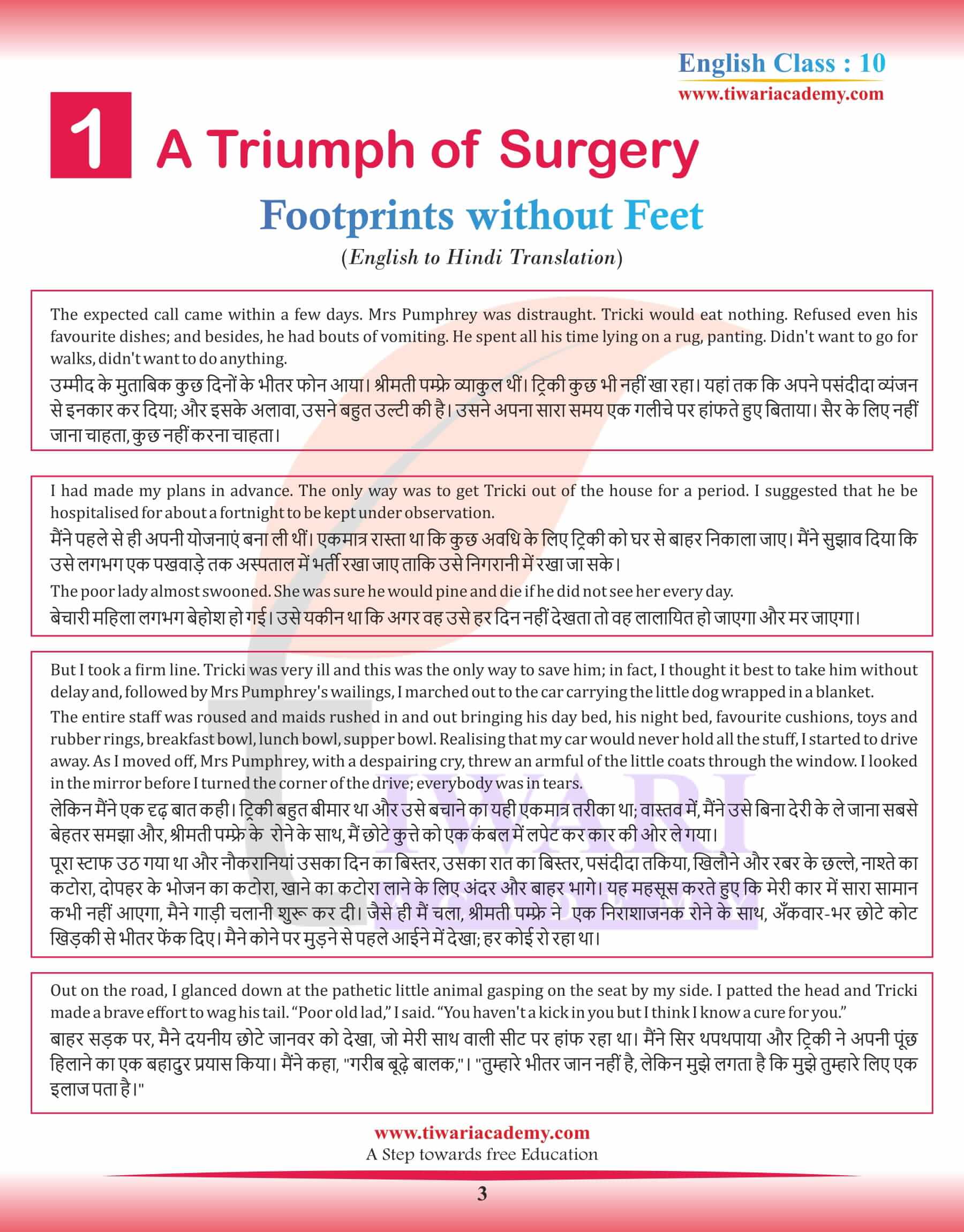 Class 10 English Supplementary Chapter 1 a Triumph of Surgery in Hindi