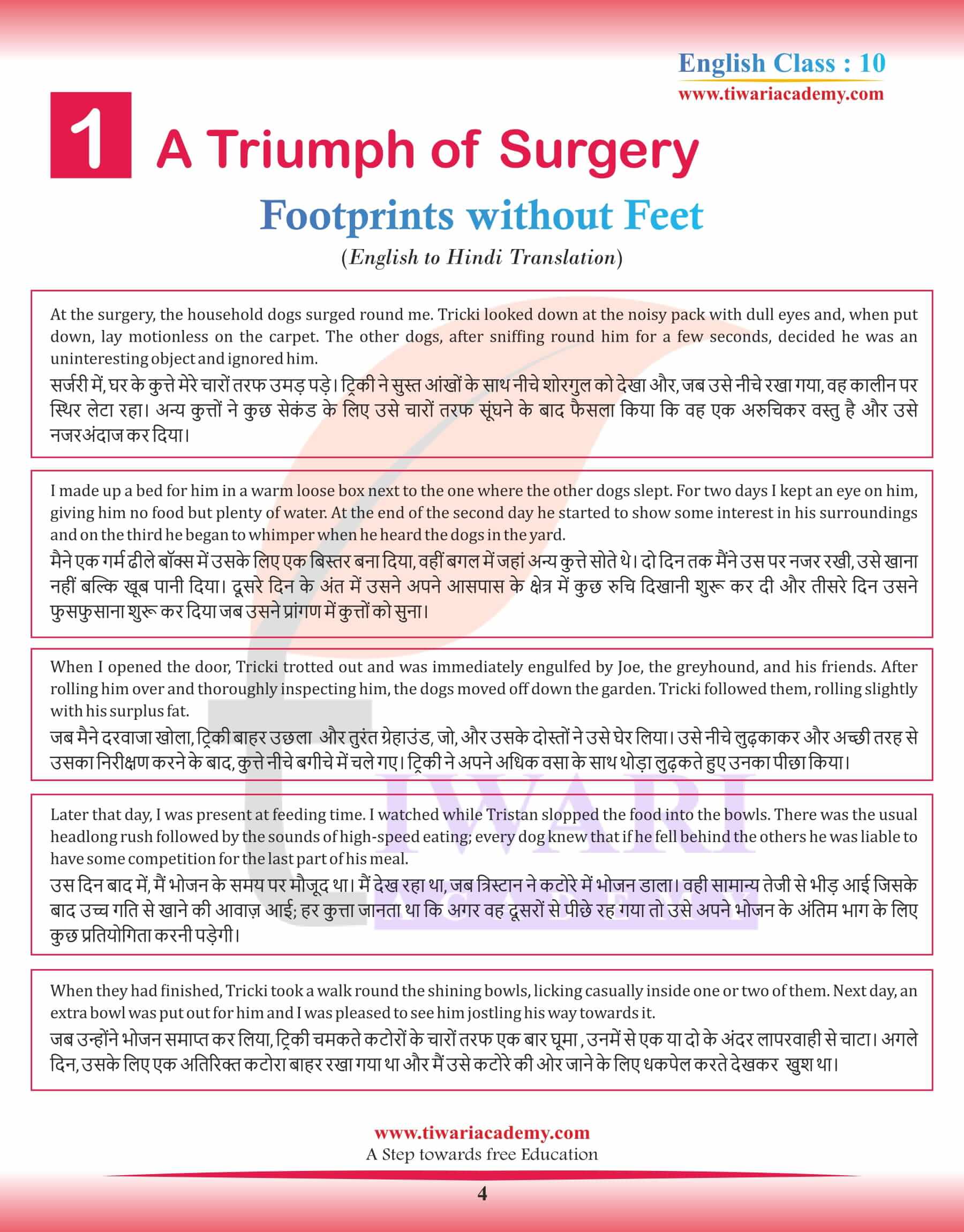 Class 10 English Supplementary Chapter 1 a Triumph of Surgery Hindi Medium