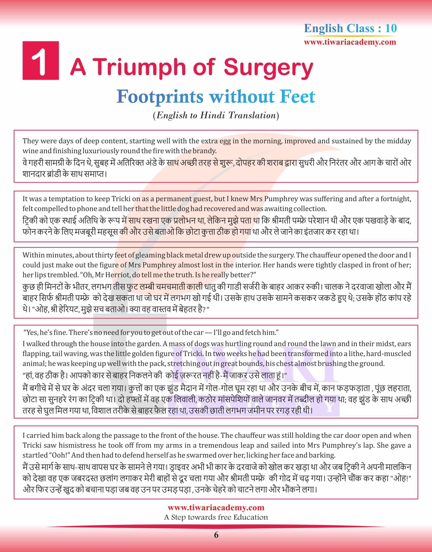 Class 10 English Supplementary Chapter 1 a Triumph of Surgery Hindi Translation