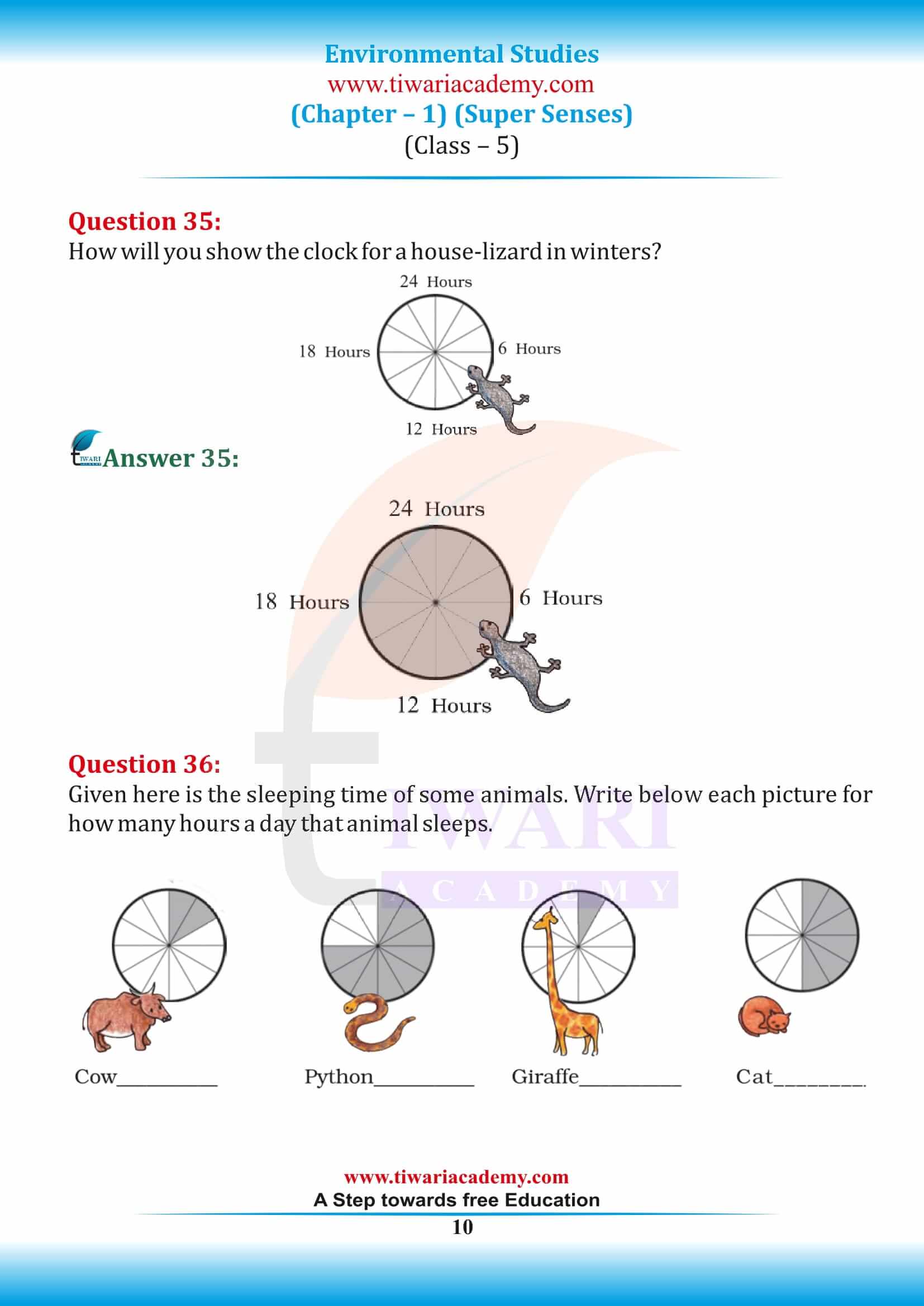 Class 5 EVS Chapter 1 ncert answers