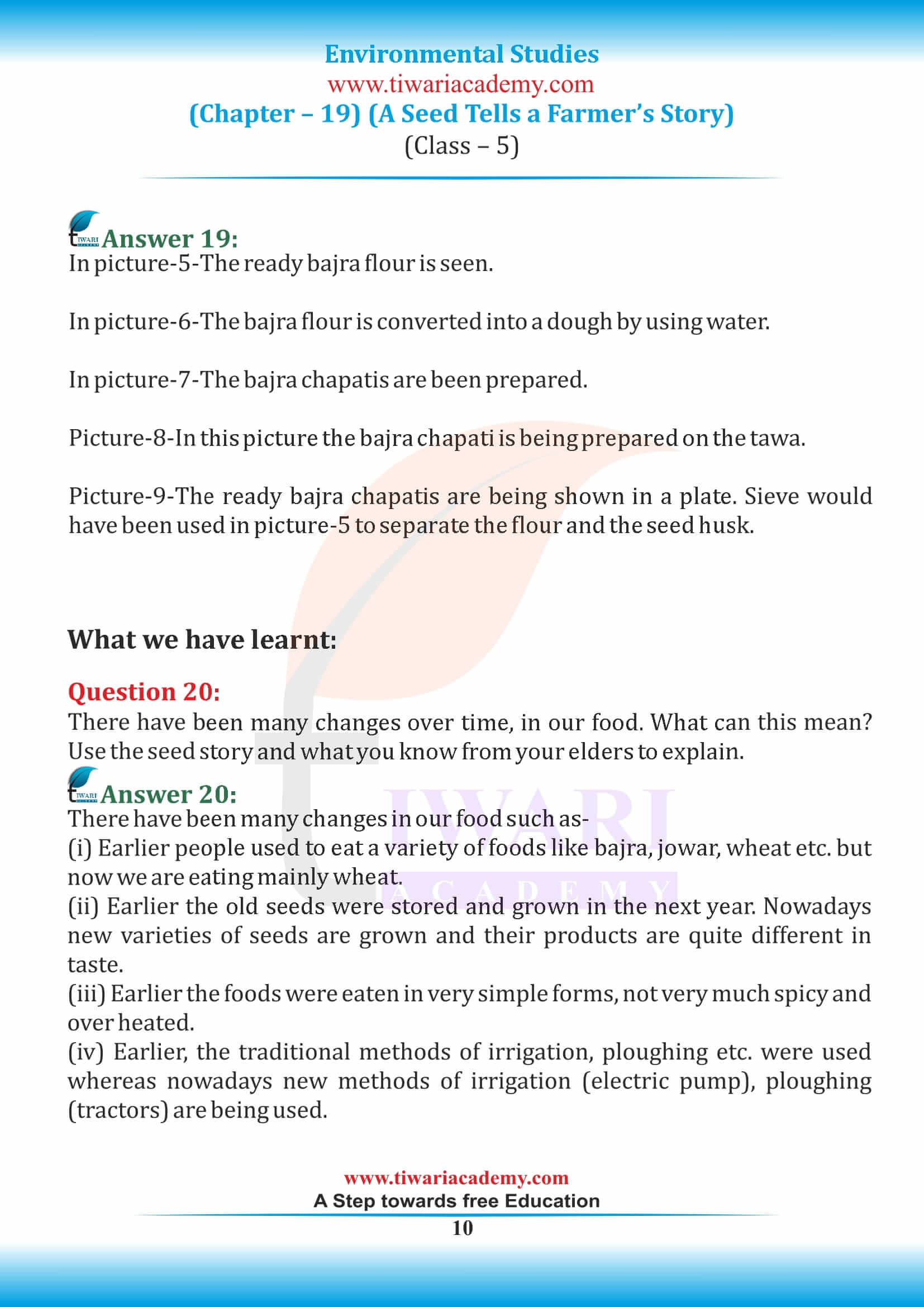 Class 5 EVS Chapter 19 answers free