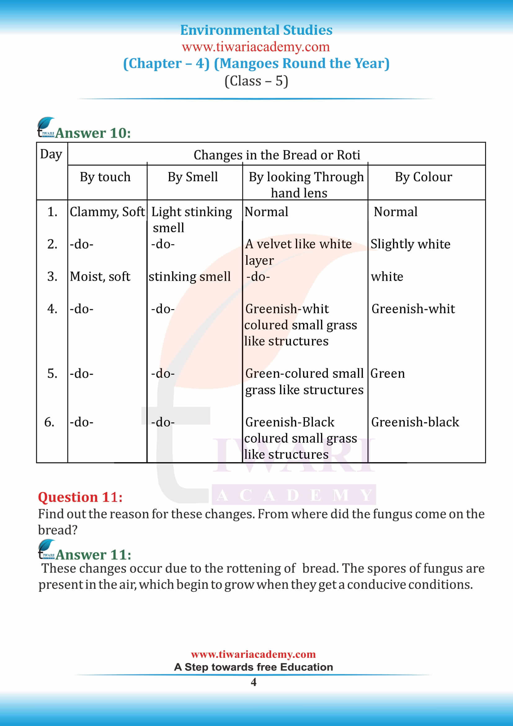 Class 5 EVS Chapter 4