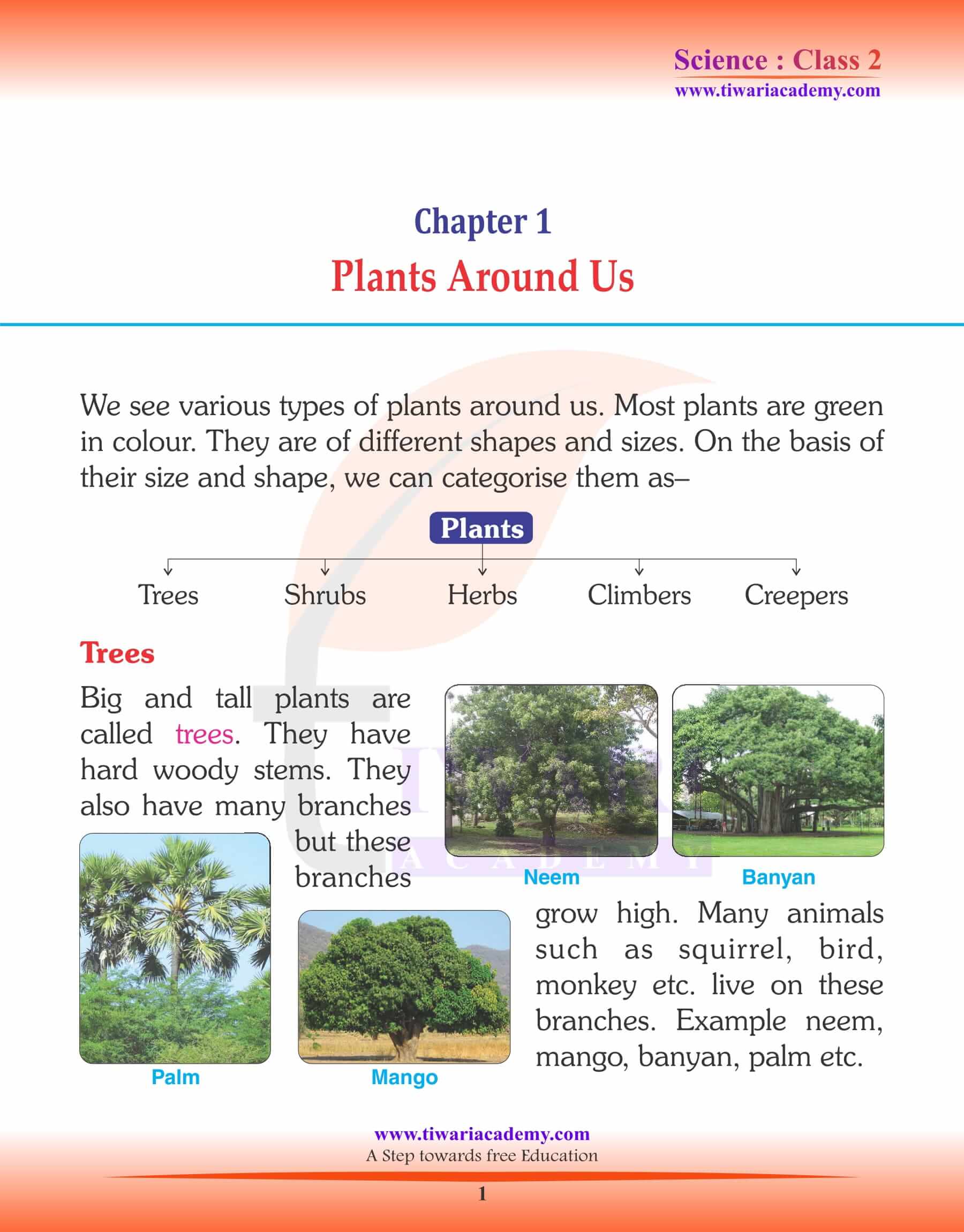 Class 2 Science Chapter 1 Plants Around Us