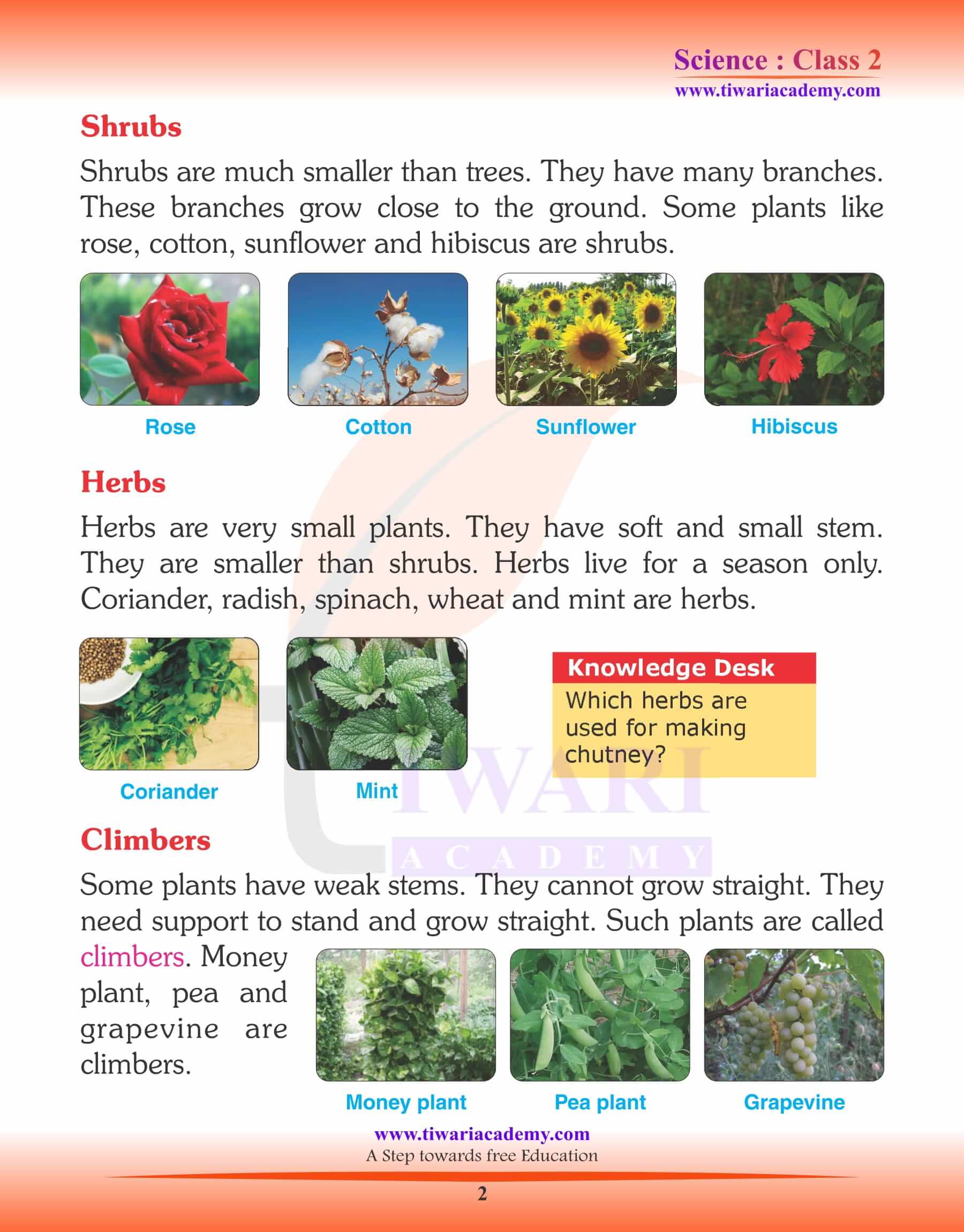 Difference between Climbers and Creepers explained with examples For Kids  Grade 3 4 and 5 EVS 