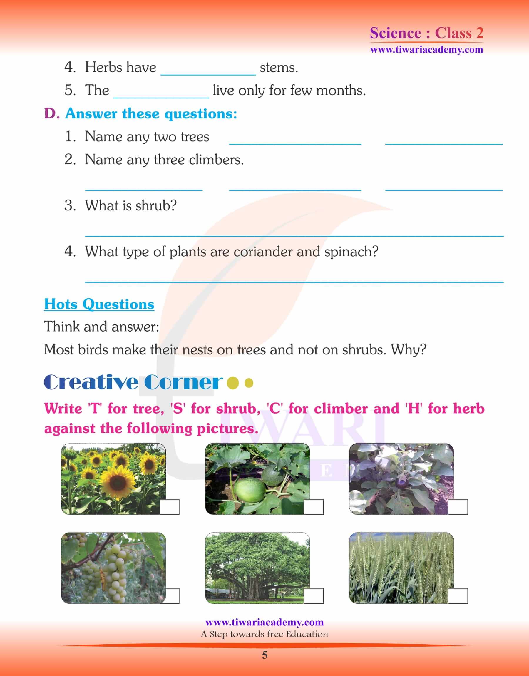 Study Material for Class 2 Science Chapter 1 Plants Around Us