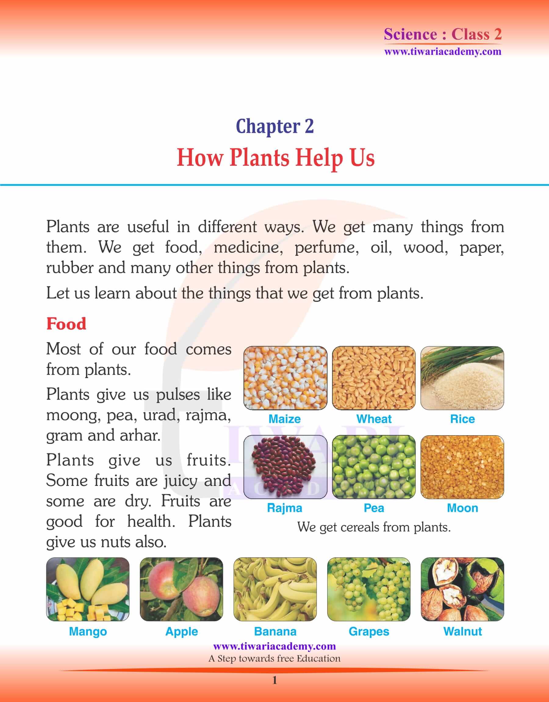 Class 2 Science Chapter 2 How Plants Help Us