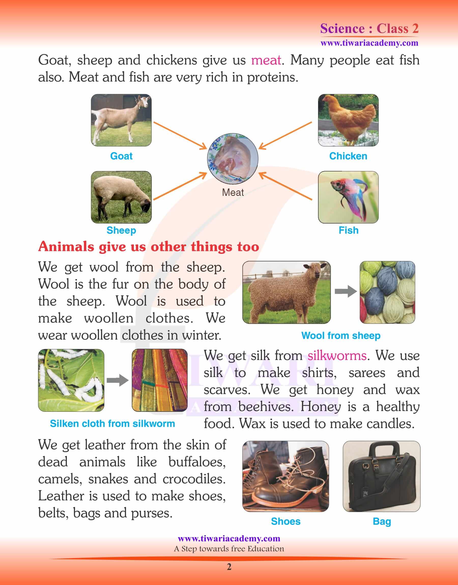 Study Material for Class 2 Science Chapter 3 Useful Animals