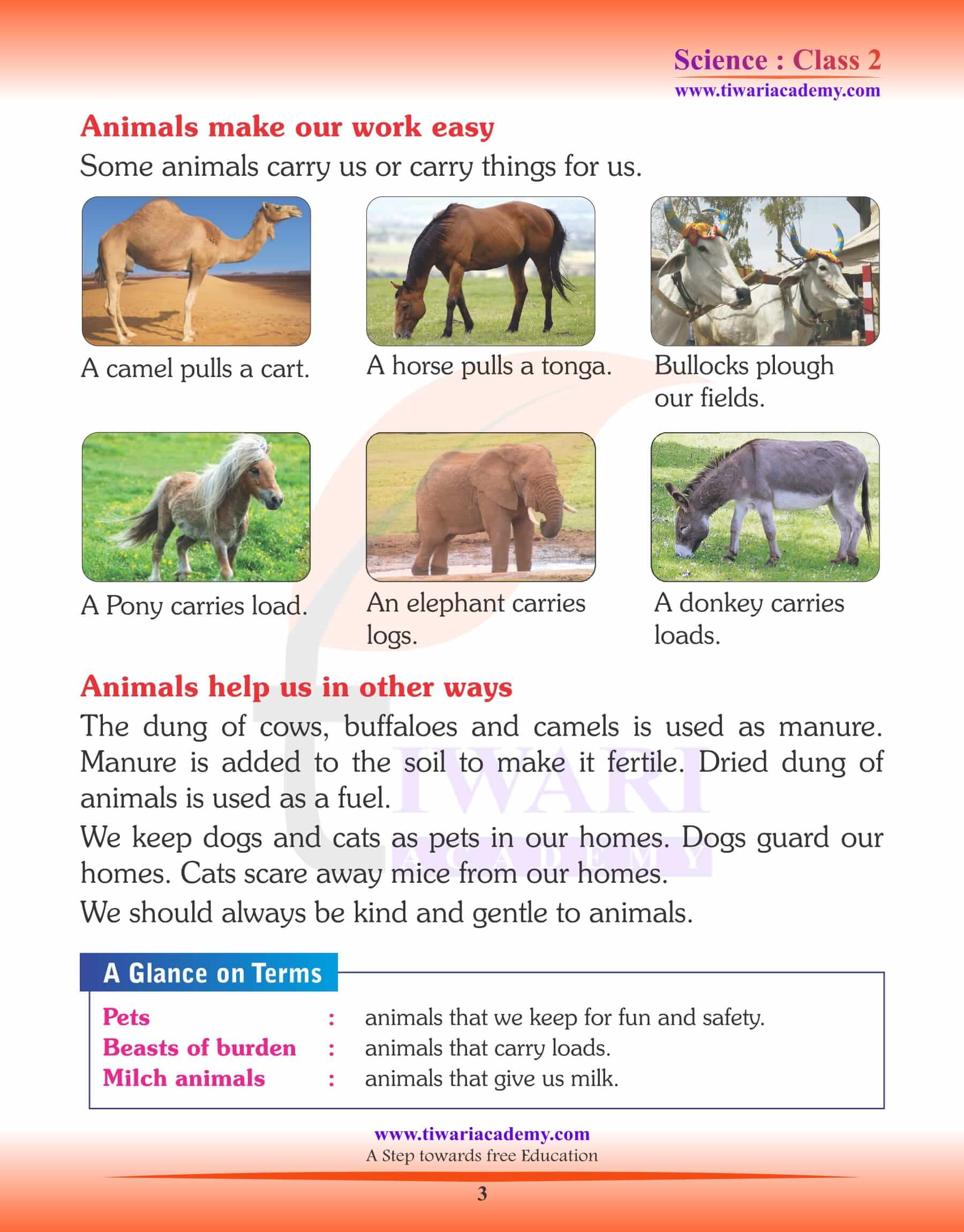 NCERT Solutions for Class 2 Science Chapter 3 Useful Animals