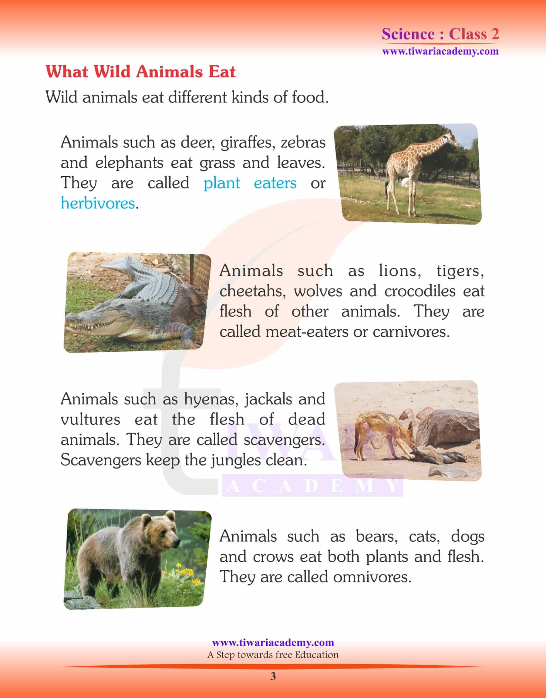 NCERT Solutions for Class 2 Science Chapter 4 Wild Animals