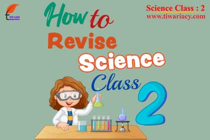 Step 3: Use Worksheet to Practice well during Revision.