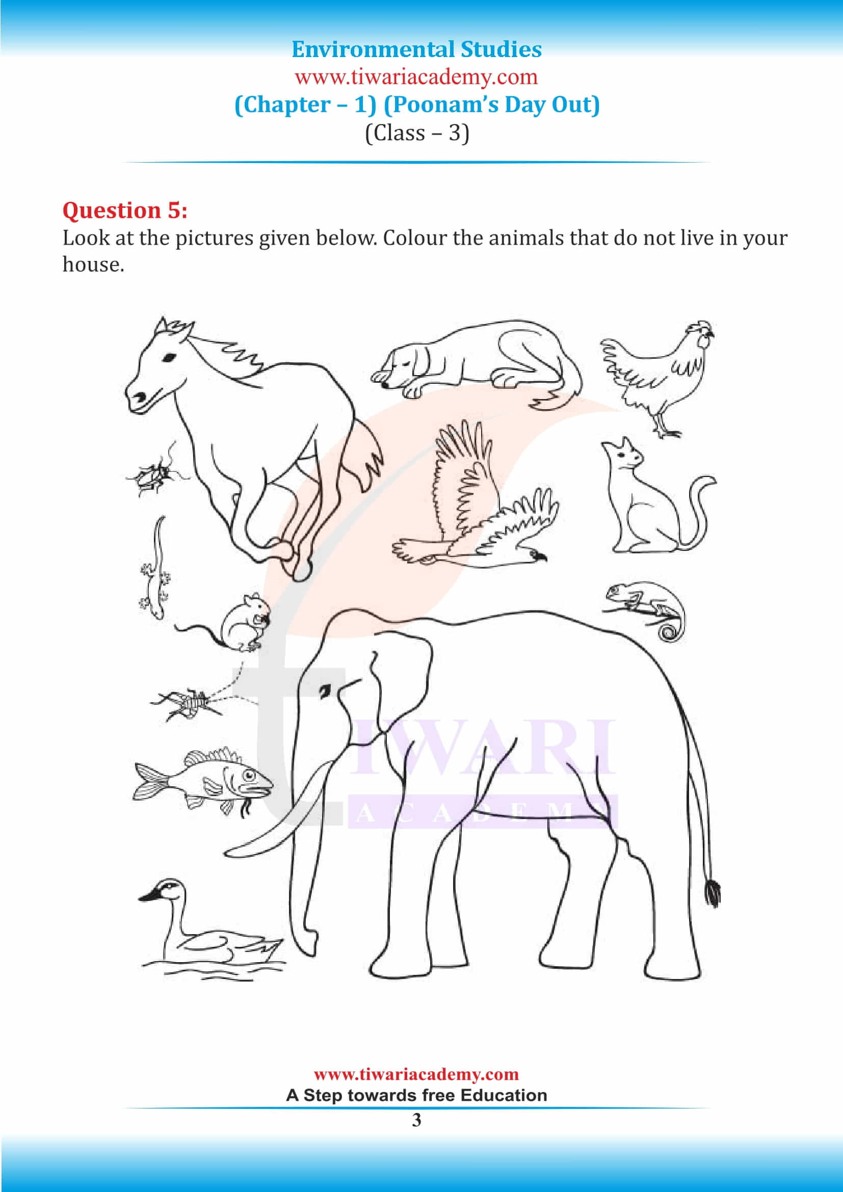 Class 3 EVS Chapter 1 NCERT Answers