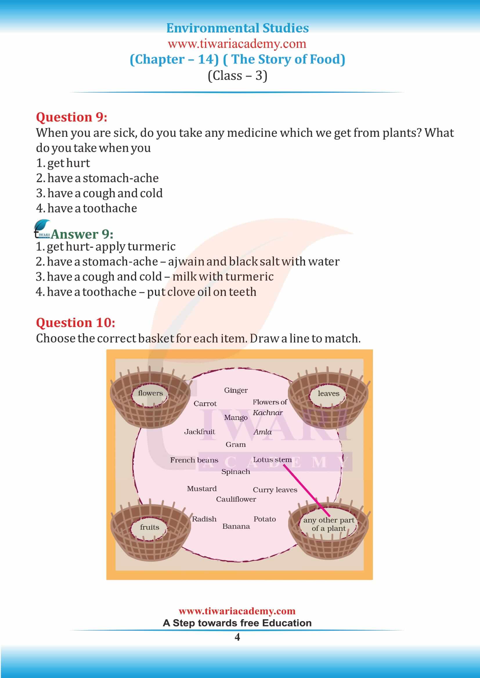 Class 3 EVS Chapter 14 NCERT Solution
