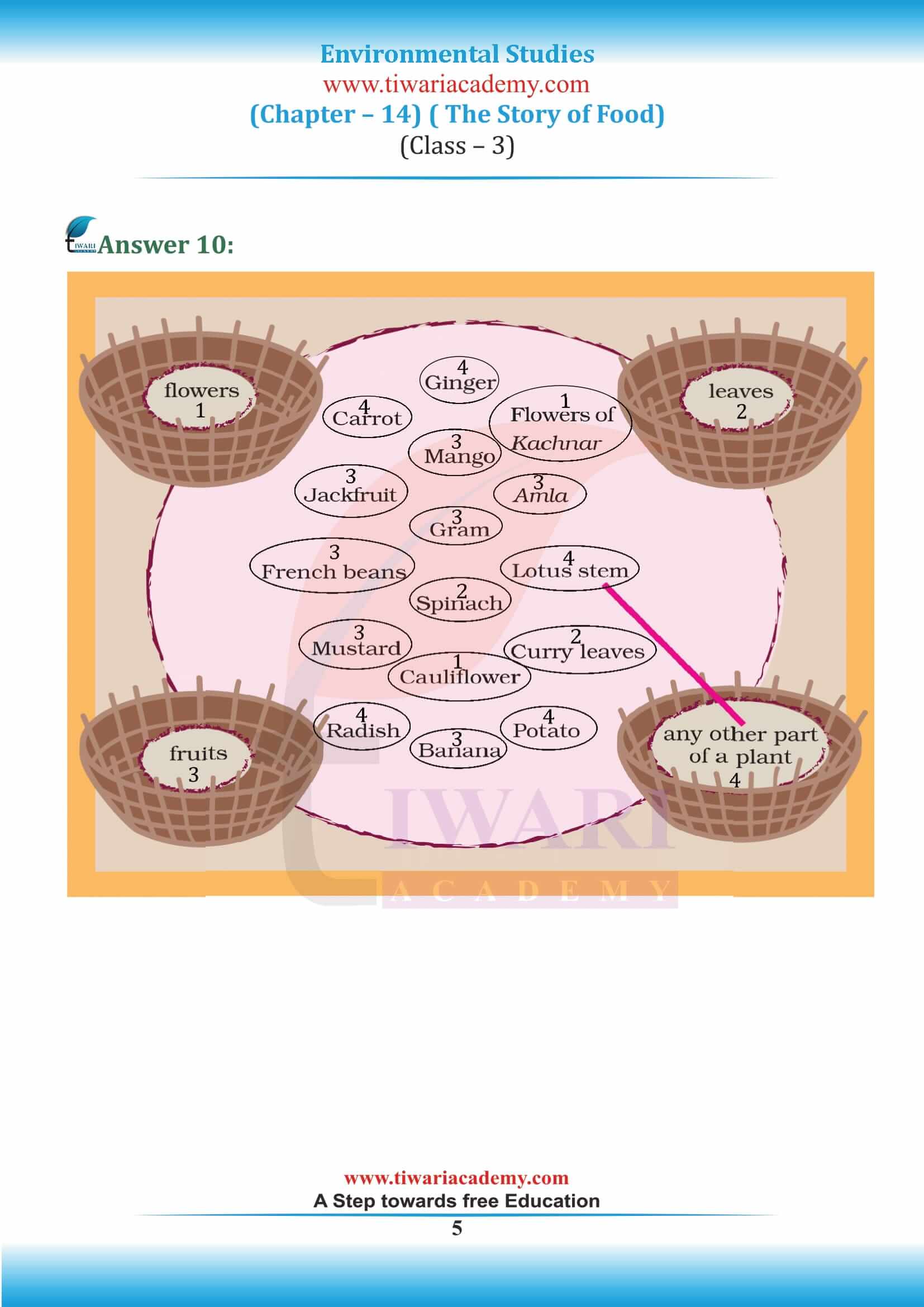 Class 3 EVS Chapter 14 all question answers