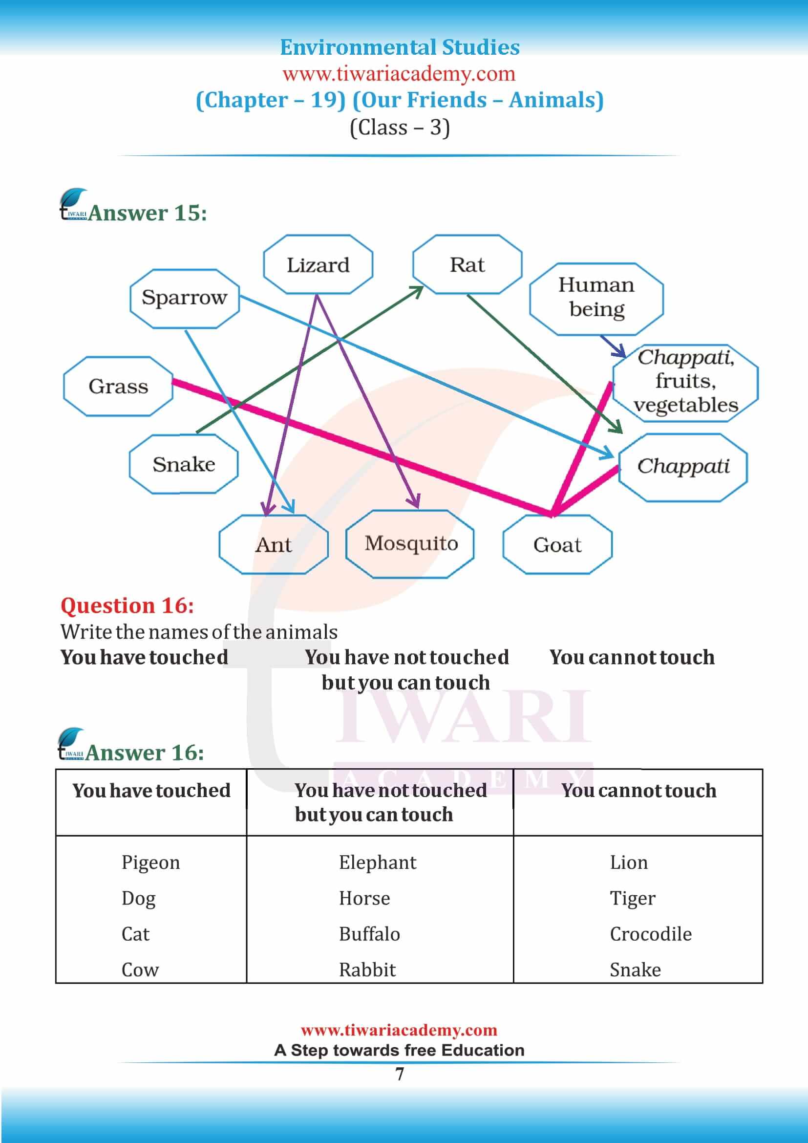 Class 3 EVS Chapter 19 in English