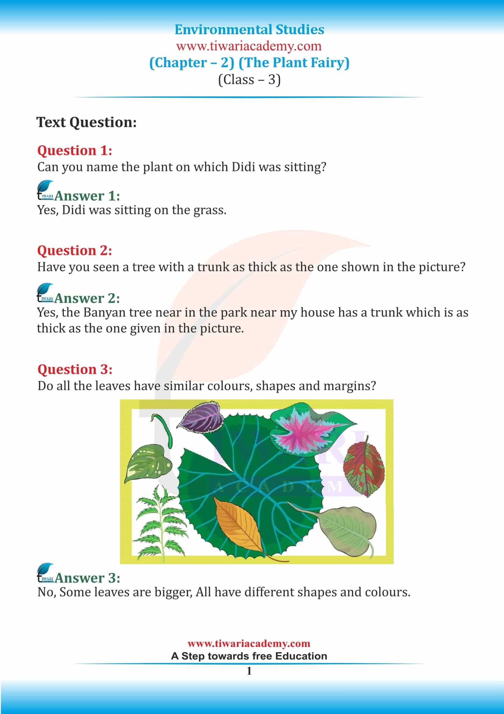 NCERT Solutions for Class 3 EVS Chapter 2 The Plant Fairy