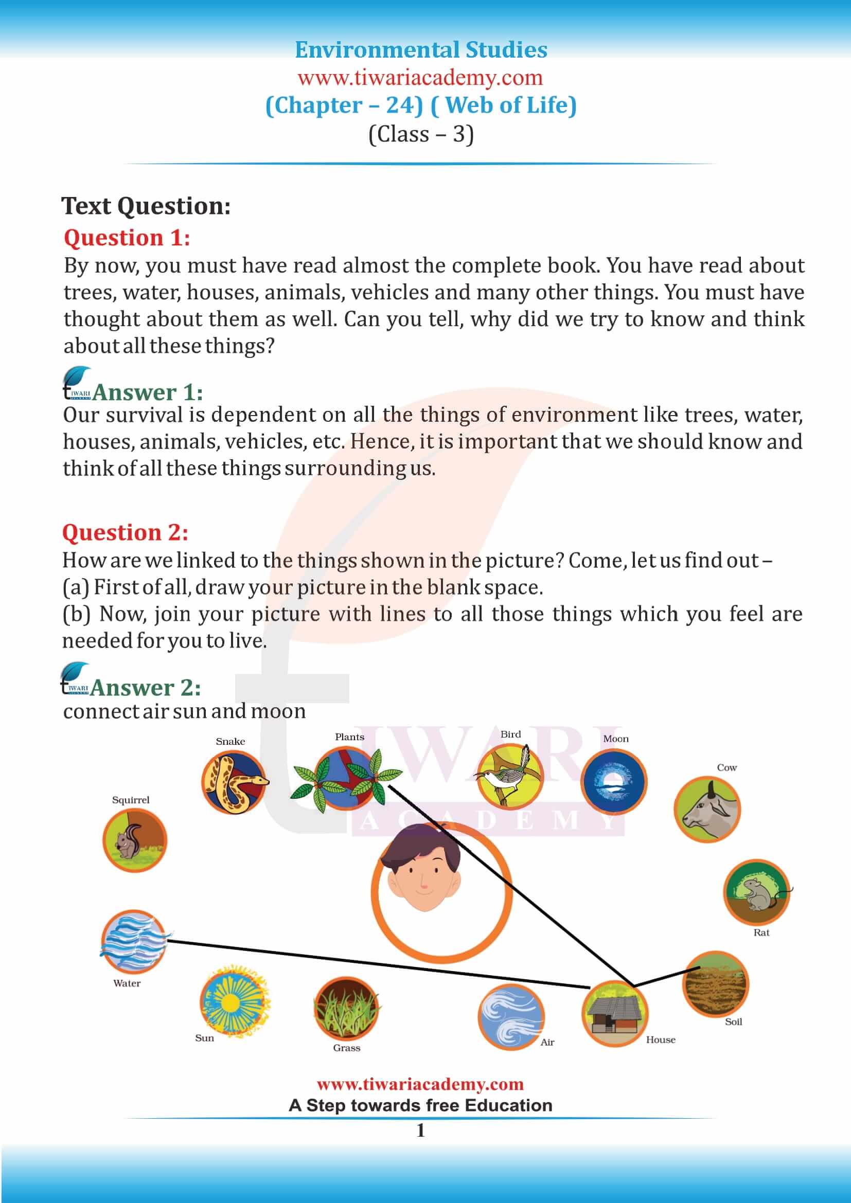 NCERT Solutions for Class 3 EVS Chapter 24 Web of Life