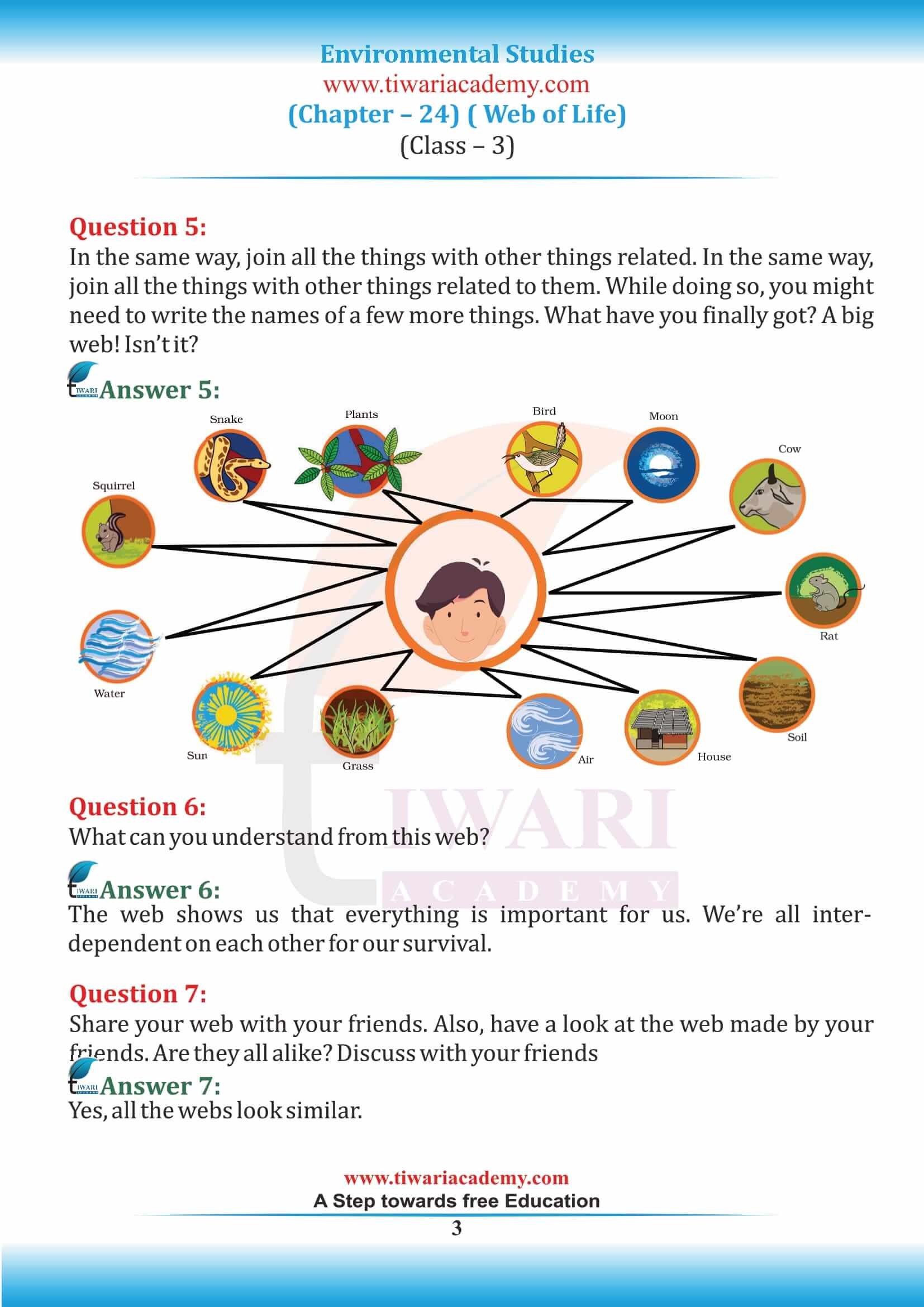 Class 3 EVS Chapter 24 Web of Life