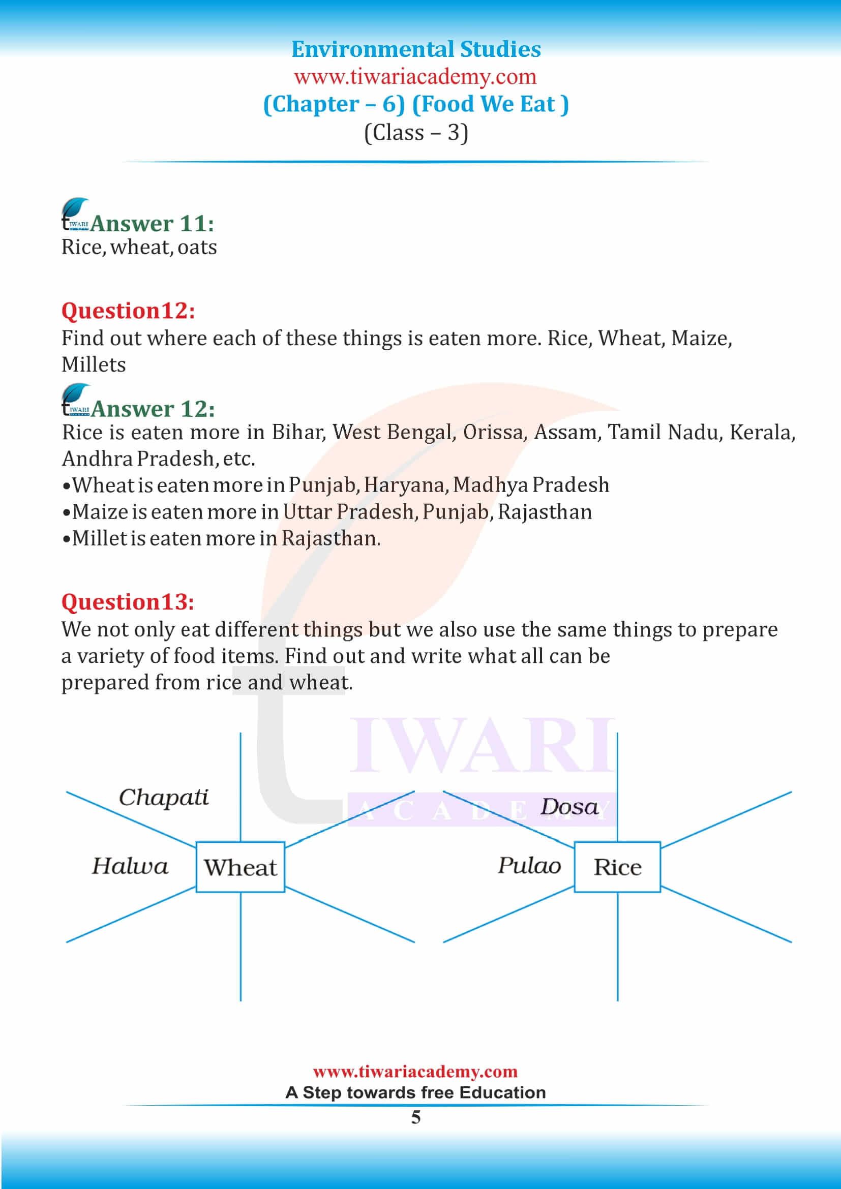 Class 3 EVS Chapter 6