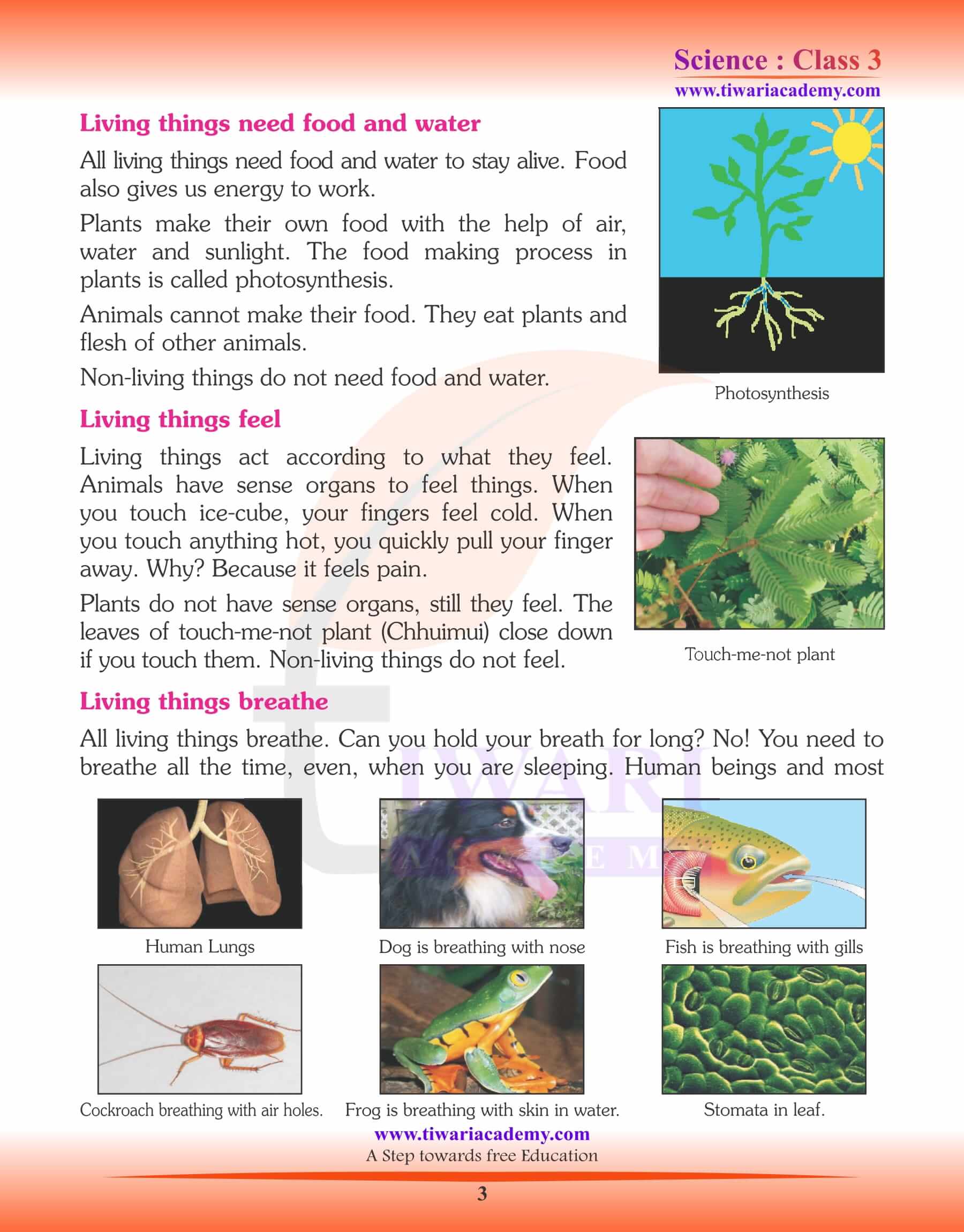 Class 3 Science Chapter 1 Living and Non-living Things