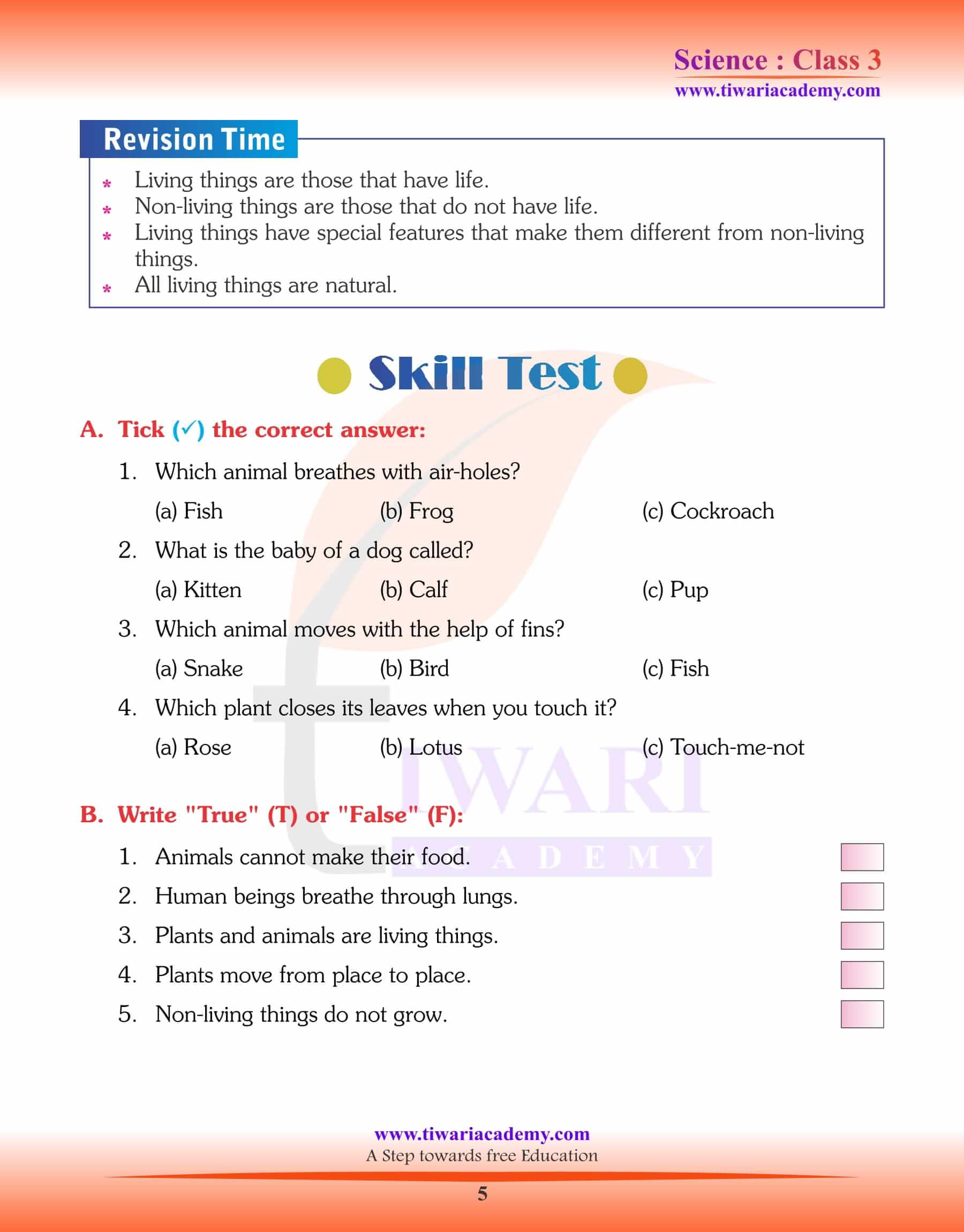 primary school assignment class 3