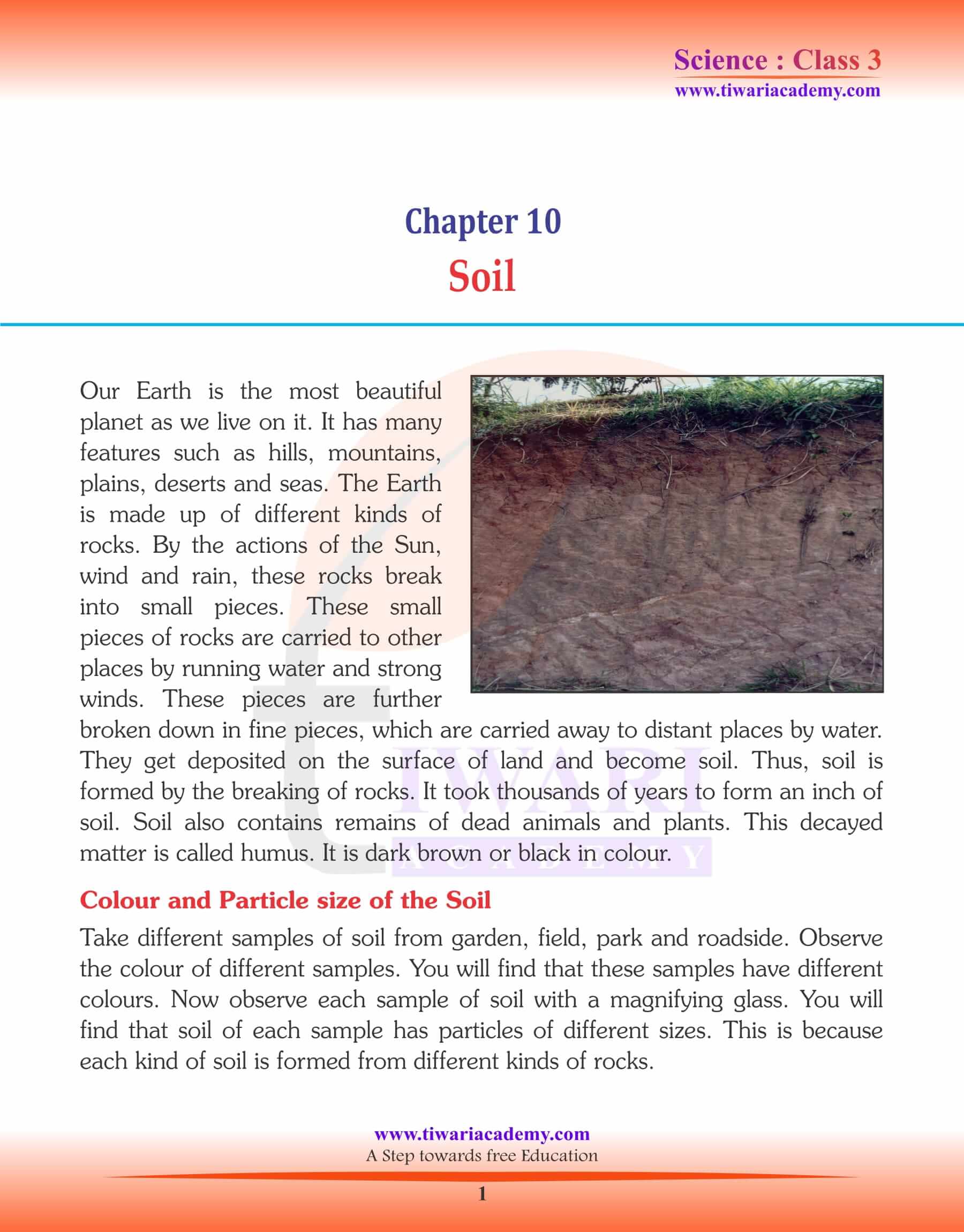 NCERT Solutions for Class 3 Science Chapter 10