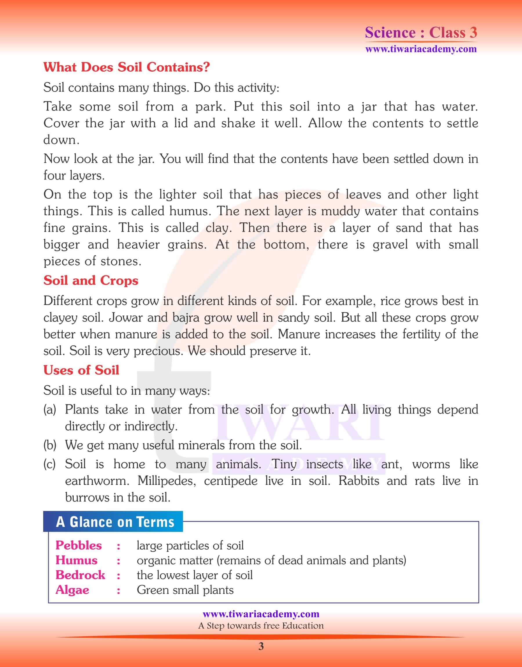 Class 3 Science Chapter 10 Activities