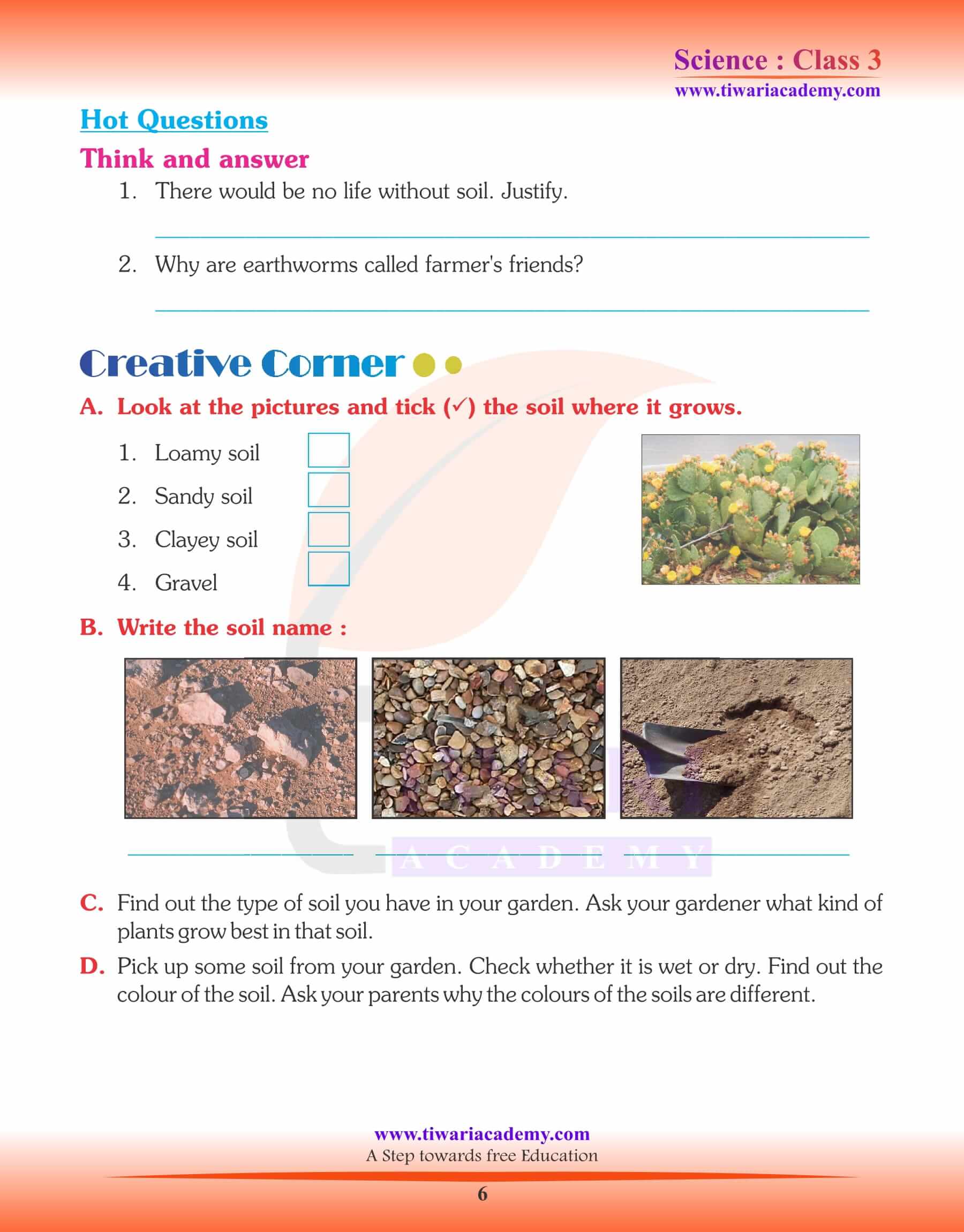 Class 3 Science Chapter 10 Worksheets