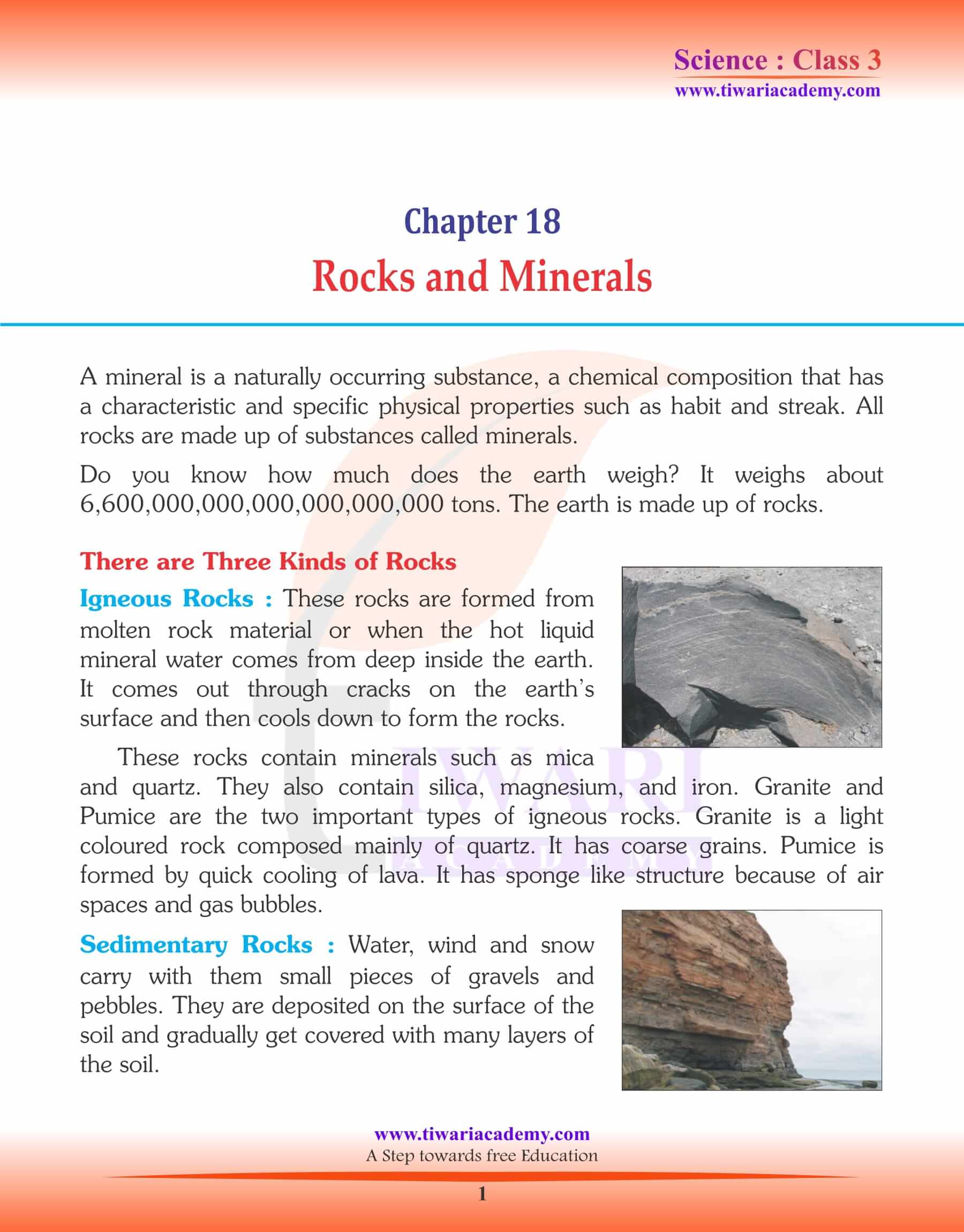 NCERT Solutions for Class 3 Science Chapter 18
