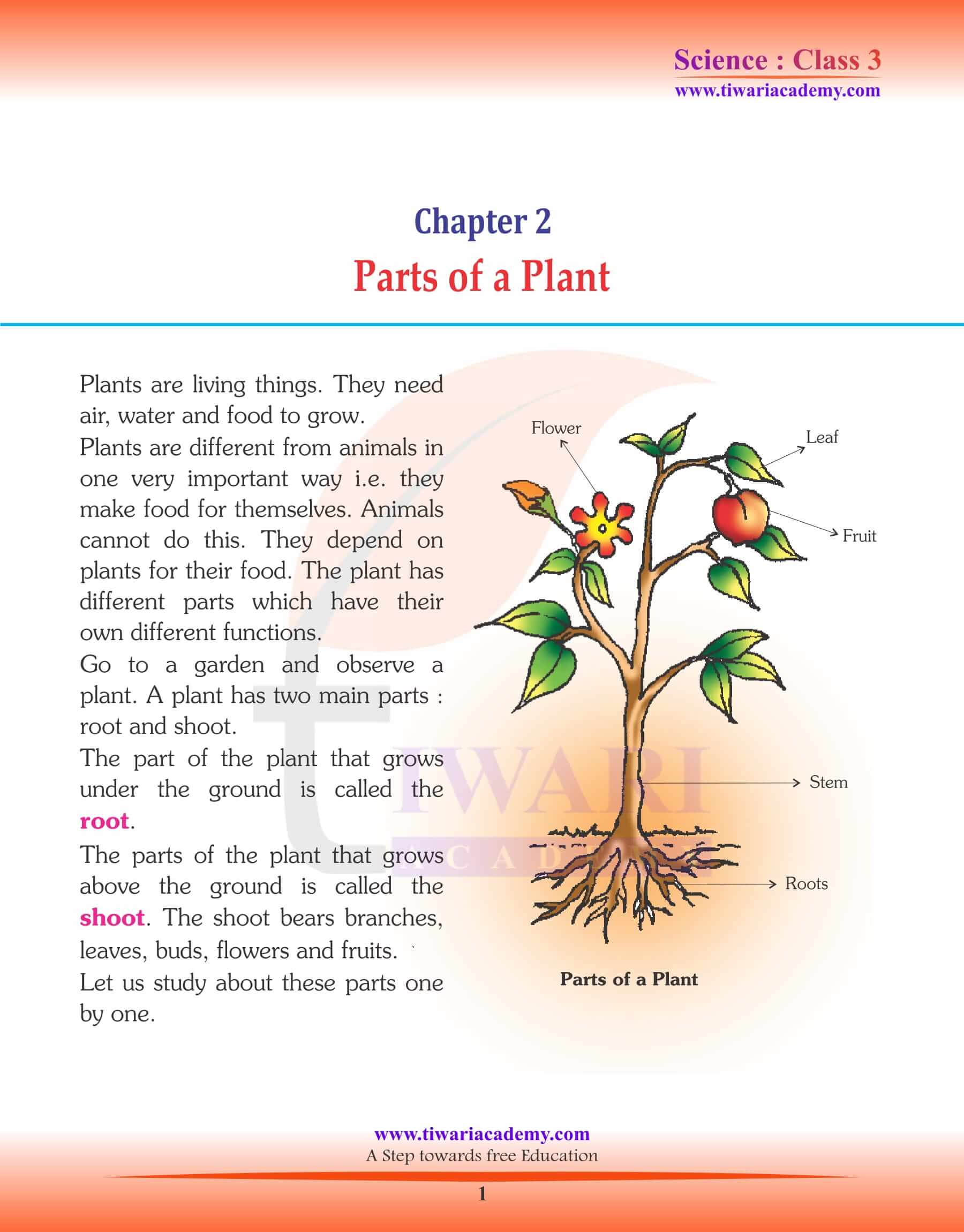 Parts of a Plants