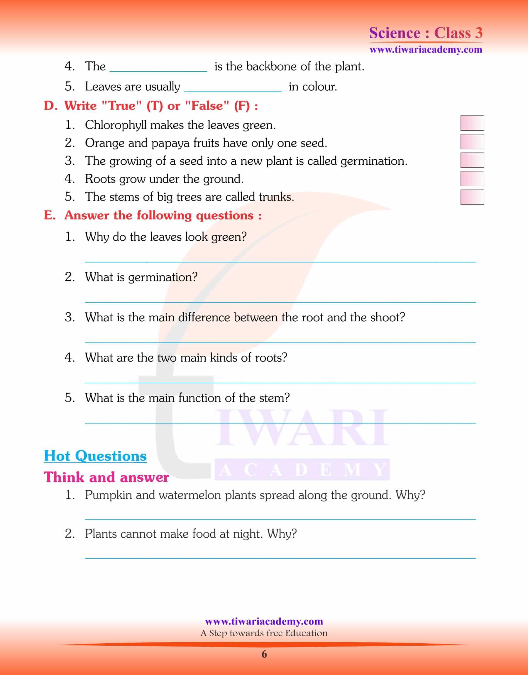 Class 3 Science Chapter 2 Parts of a Plants worksheets