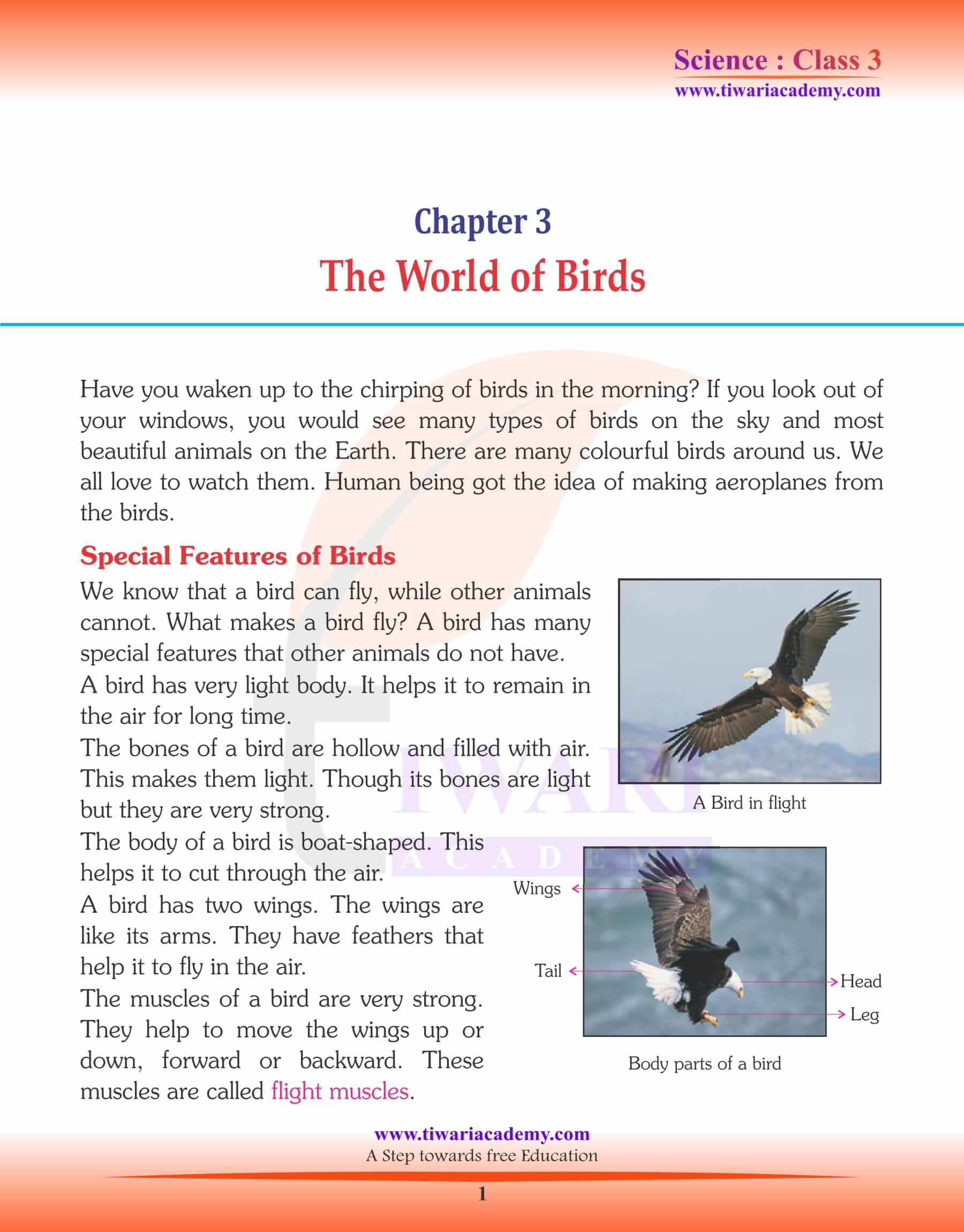 NCERT Solutions for Class 3 Science Chapter 3