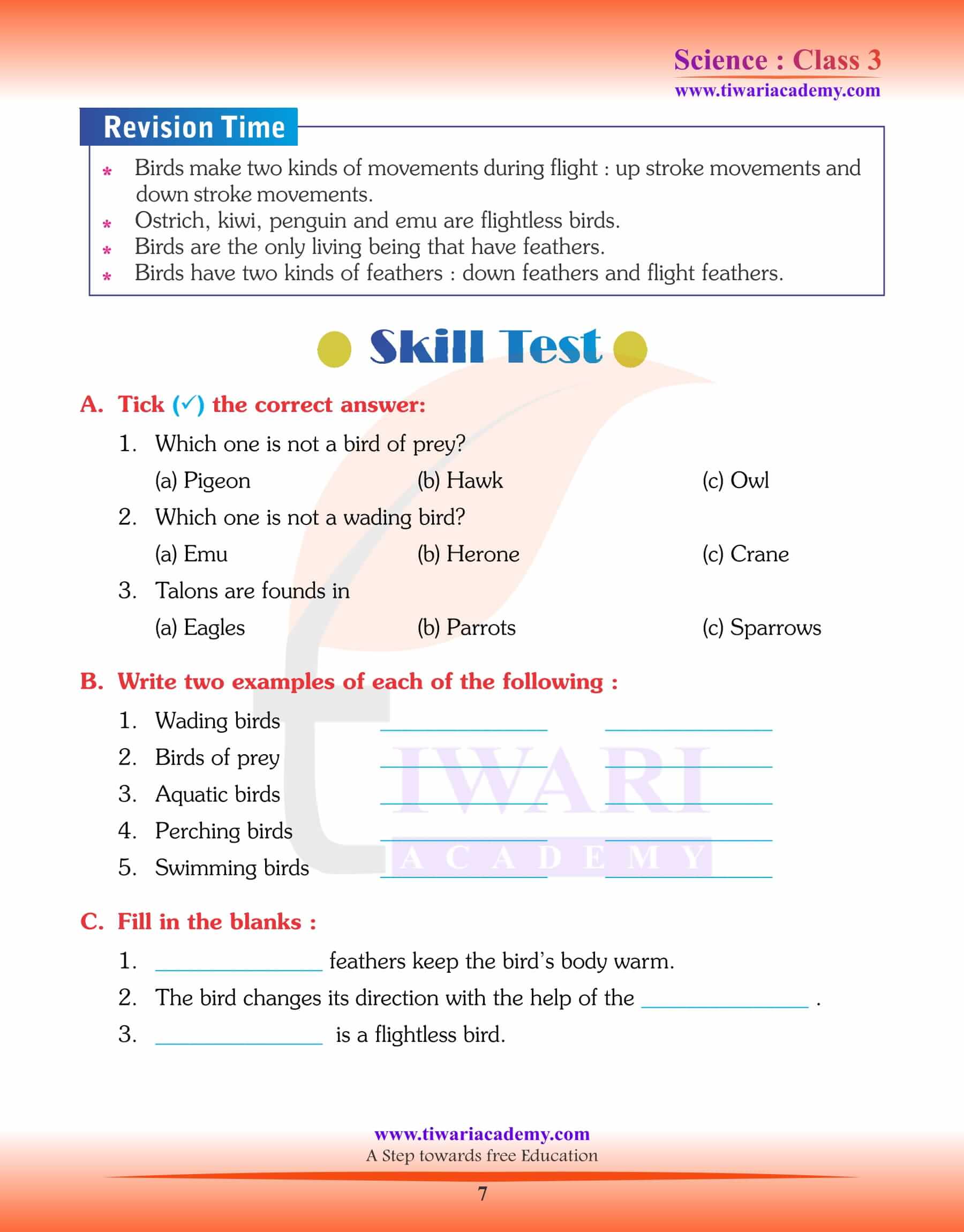 Class 3 Science Chapter 3 The World of Birds assignments