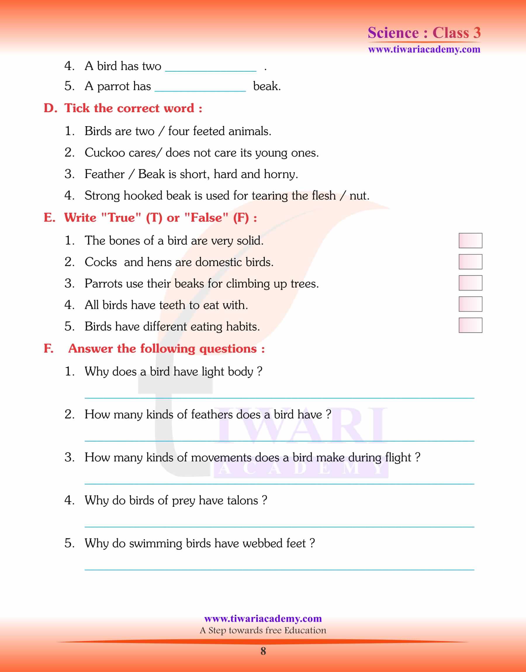 Class 3 Science Chapter 3 The World of Birds practice questions