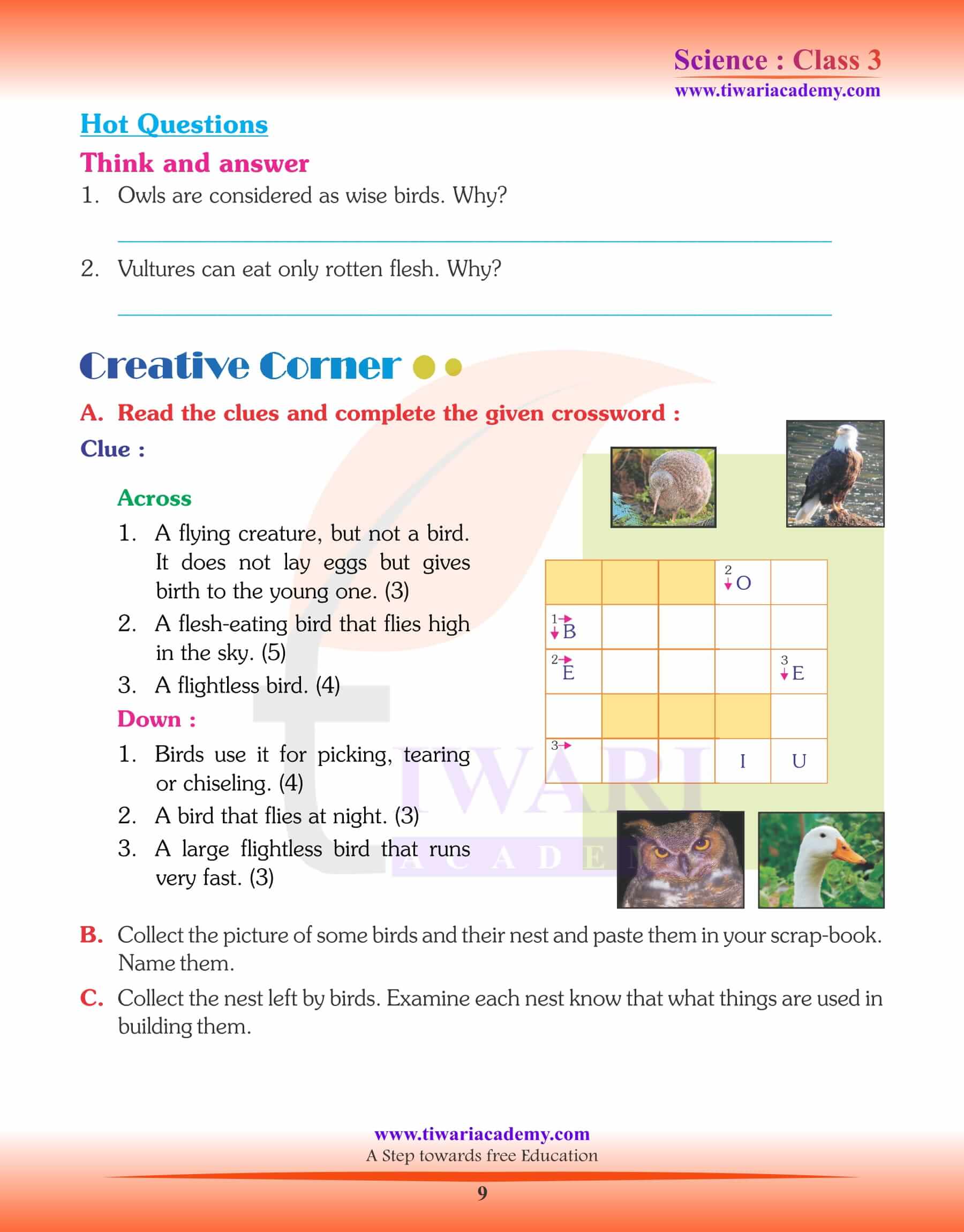 NCERT Solutions for Class 3 Science Chapter 3 The World of Birds.
