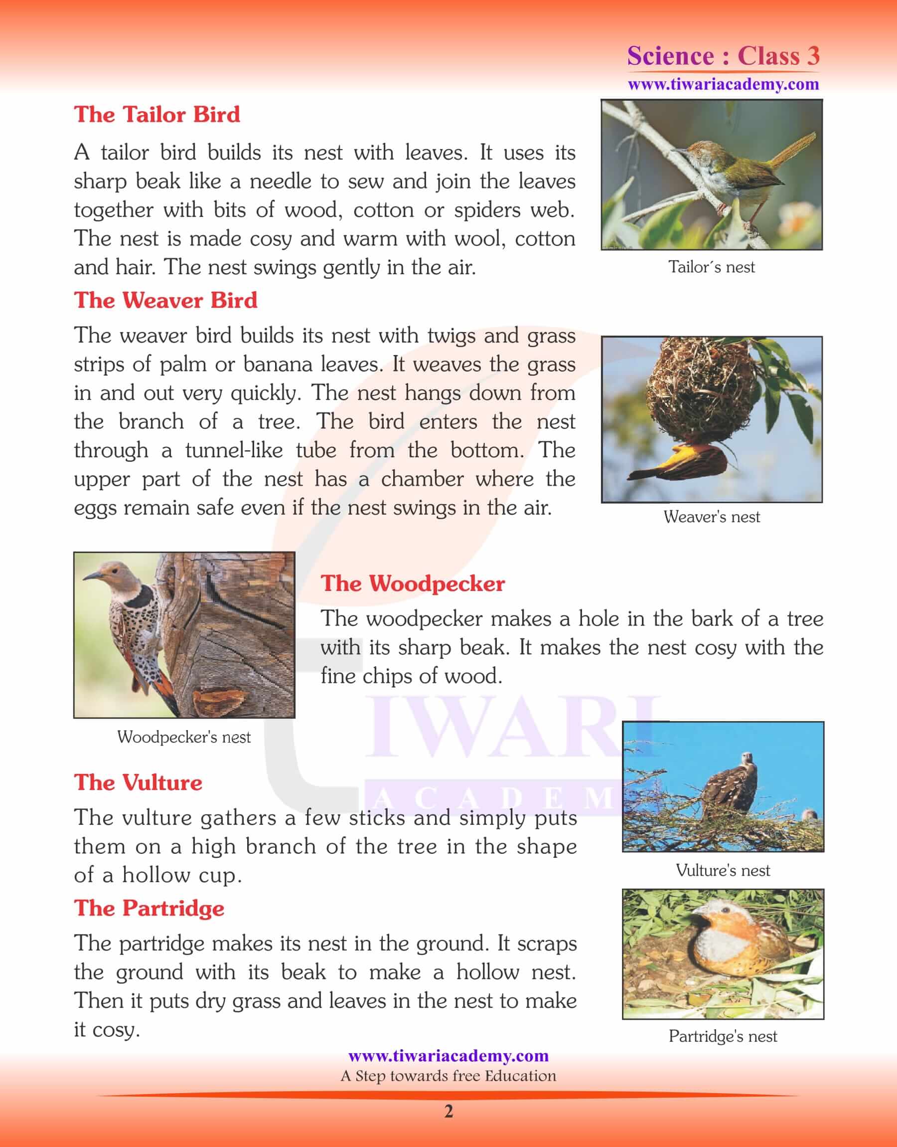 Class 3 Science Chapter 4 Nestling Habits of Birds