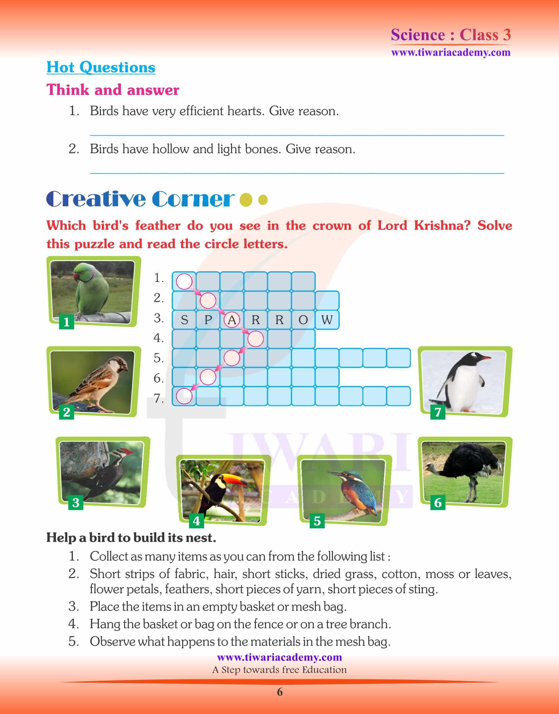 Class 3 Science Chapter 4 Nestling Habits of Birds assignments